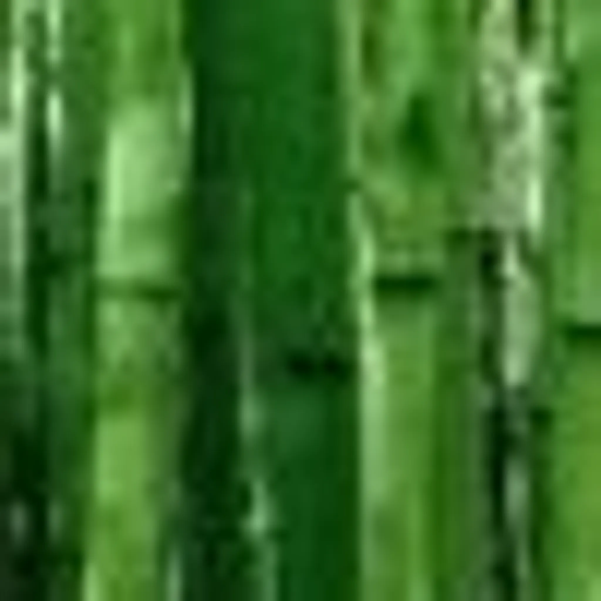 Aiki-JuJutsu Ken-jutsu Jo-jutsu