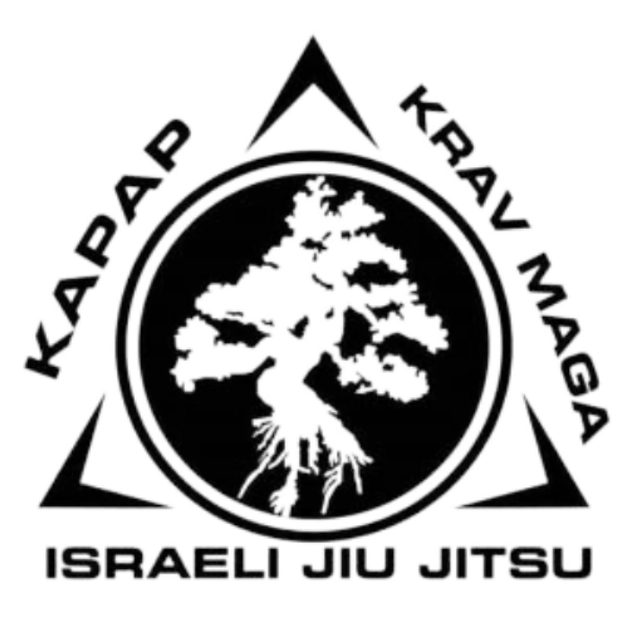 Krav Maga Classes Liverpool