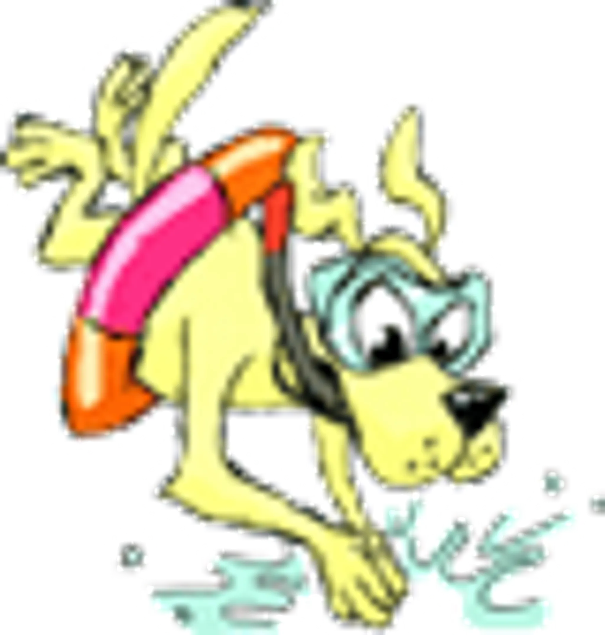 West Wales Canine Hydrotherapy