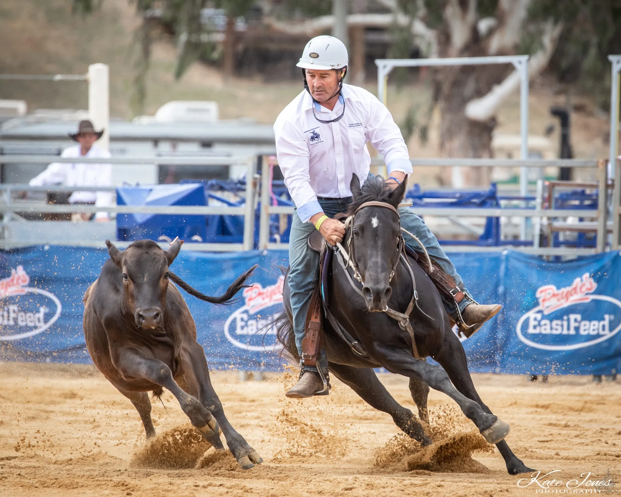 2024 Ariat Warwick Rodeo & Pryde's EasiFeed Warwick Gold Cup Campdraft