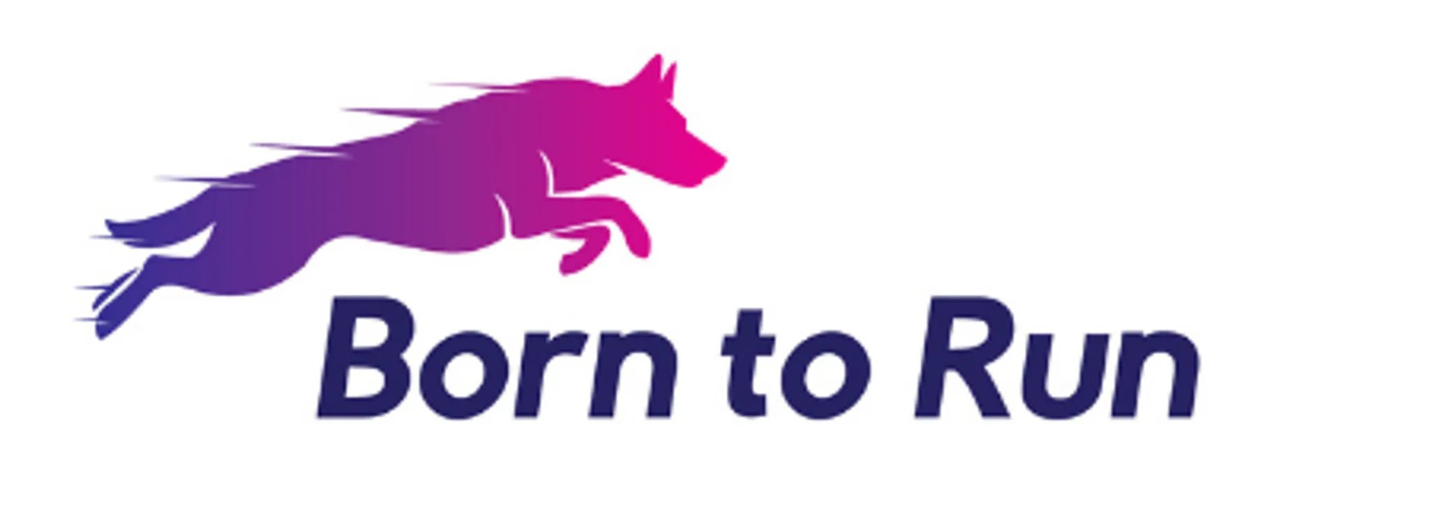 Born to Run Canine Massage, Fitness & Rehabilitation Suffolk