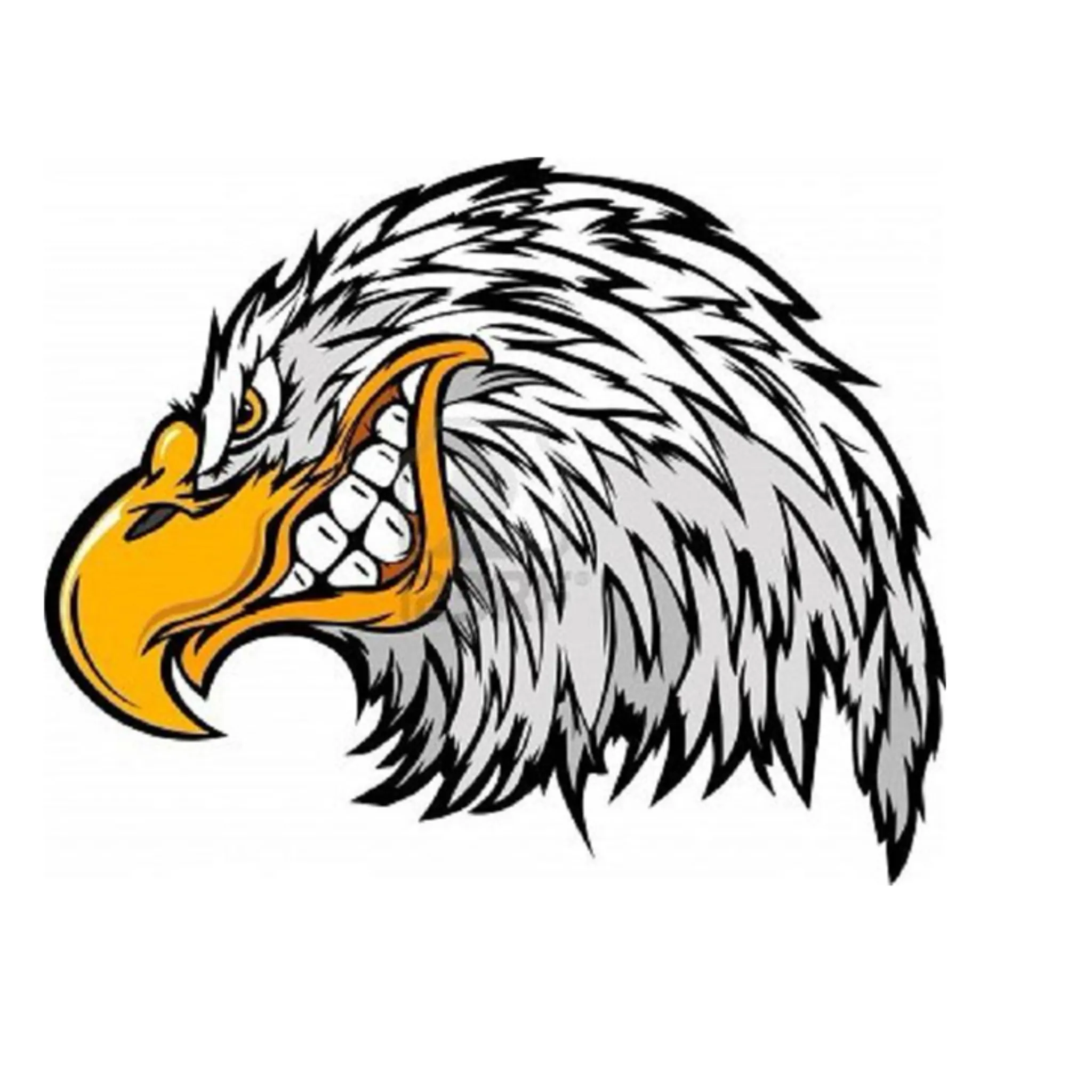 Redlands Volleyball Association