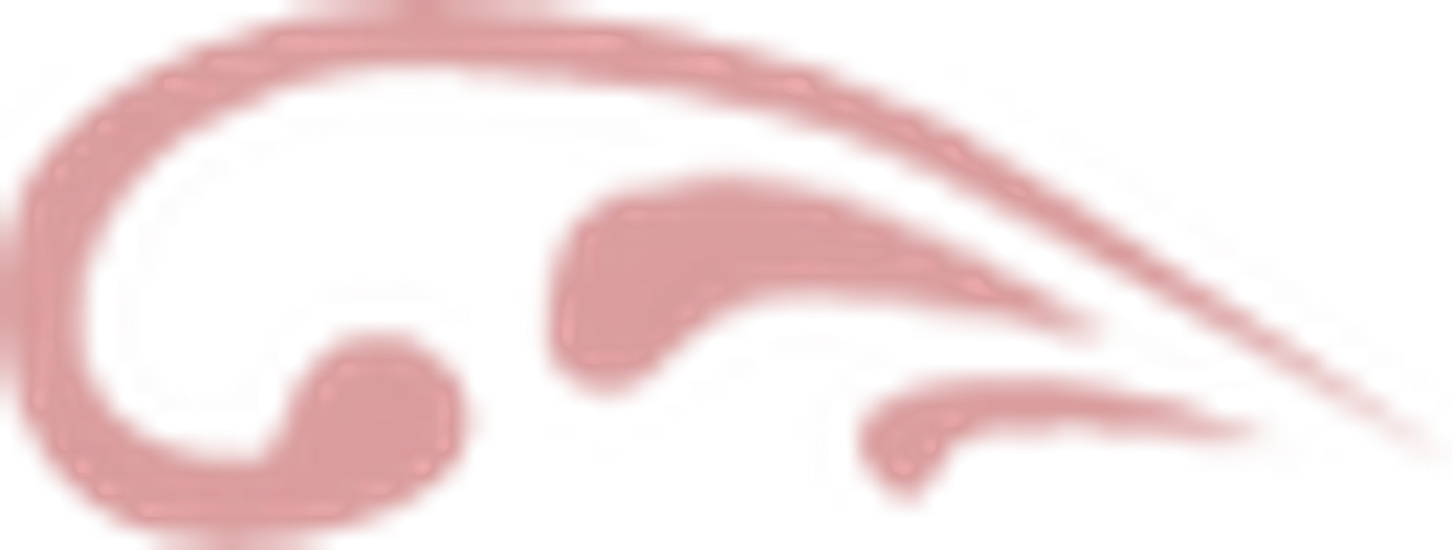 Lancelyn Dance School