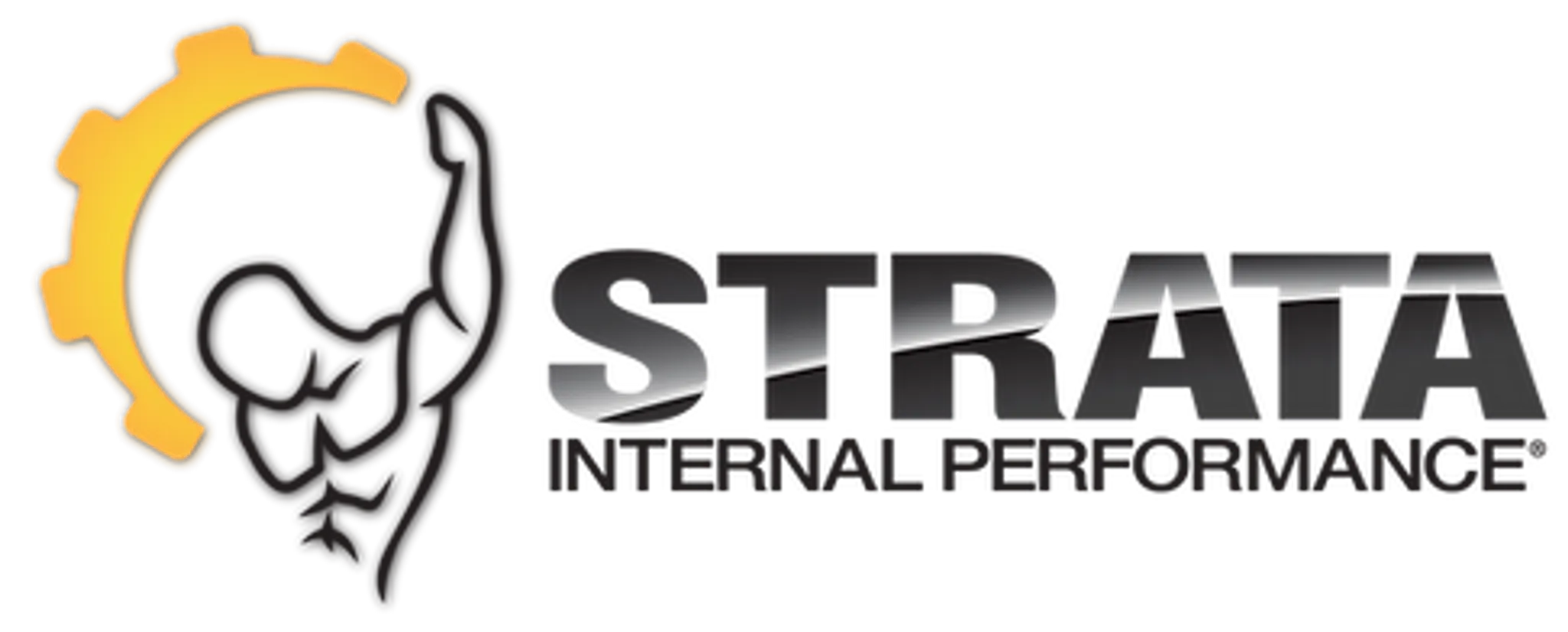 Strata Internal Performance - Muscle System Care & Personal Training