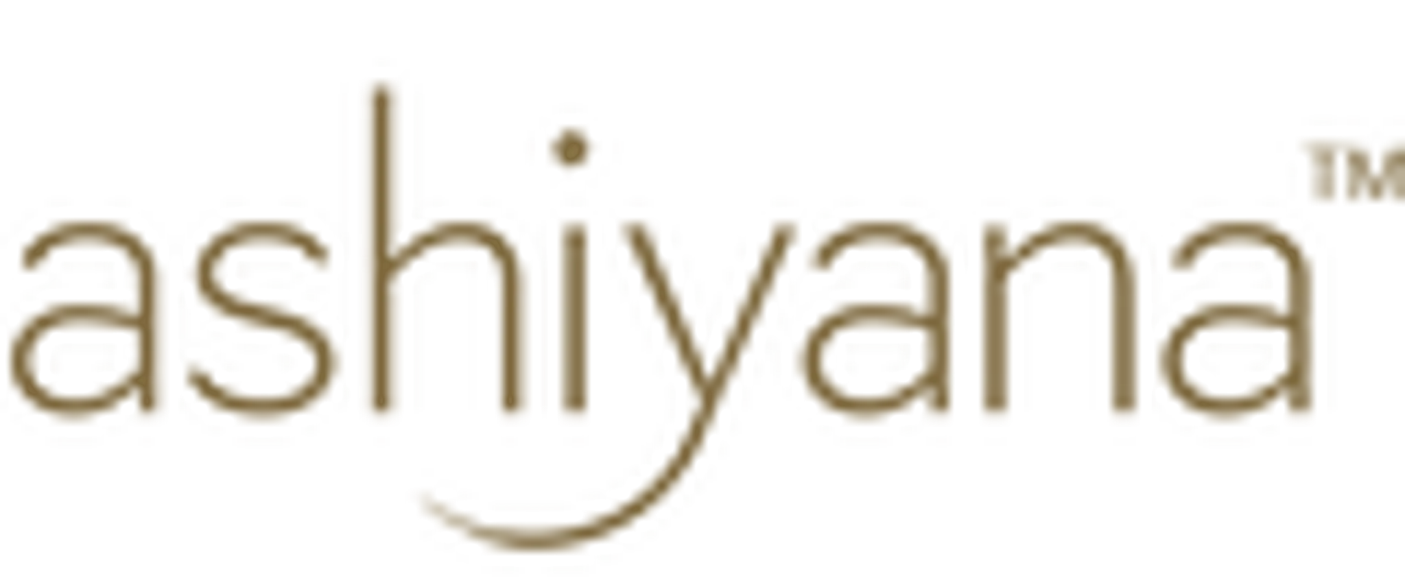 The Hummingbird Studio