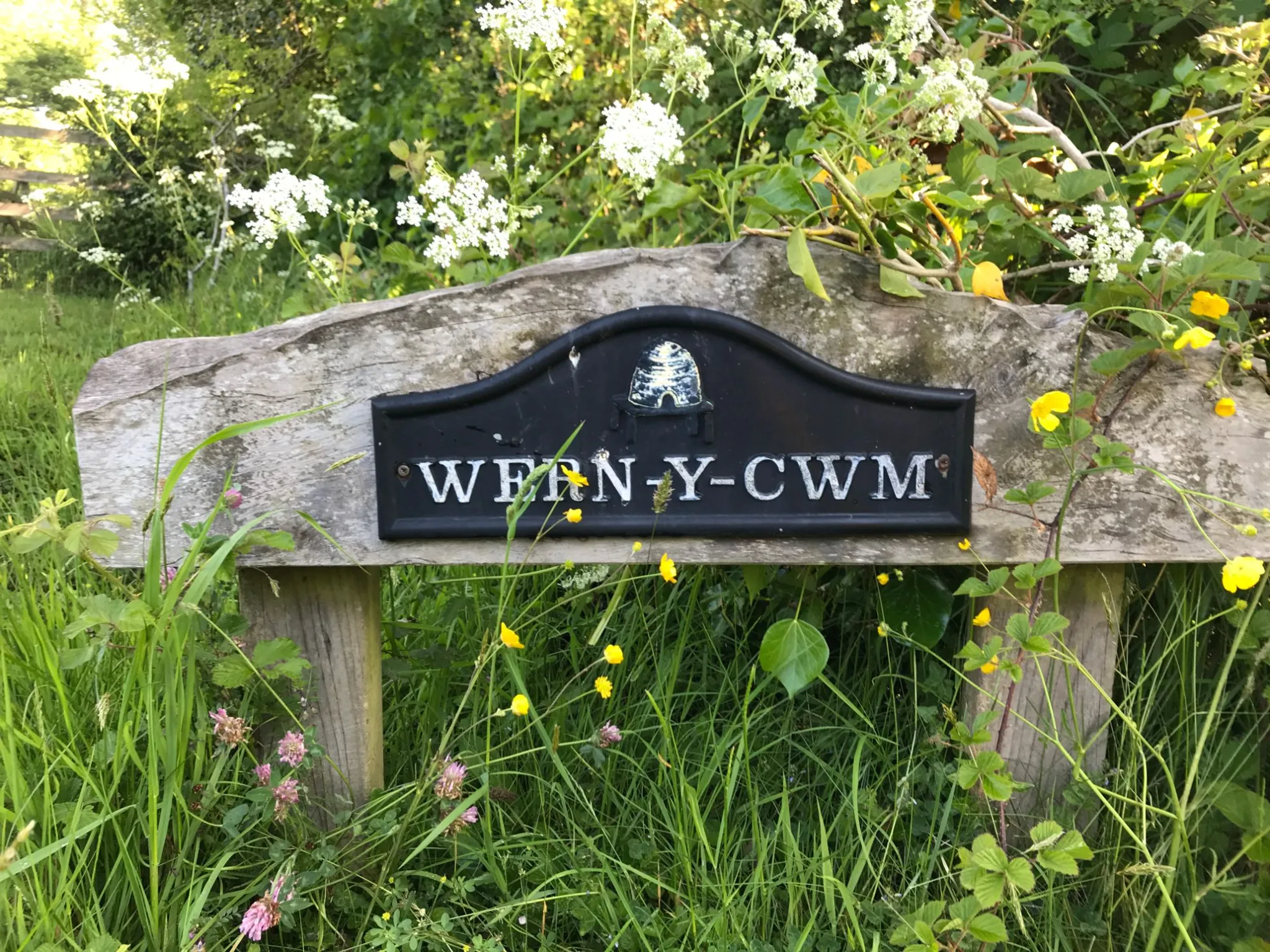 Wern-y-Cwm Farm