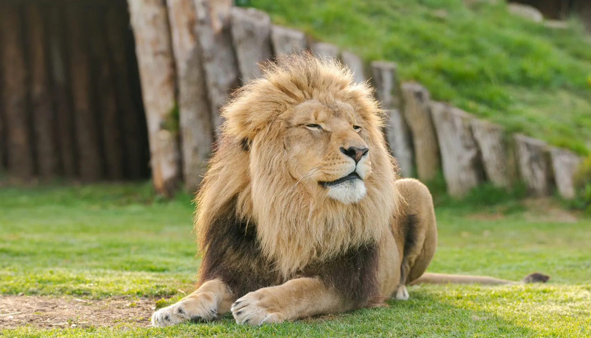 Fishing at Elmhirst Lakes