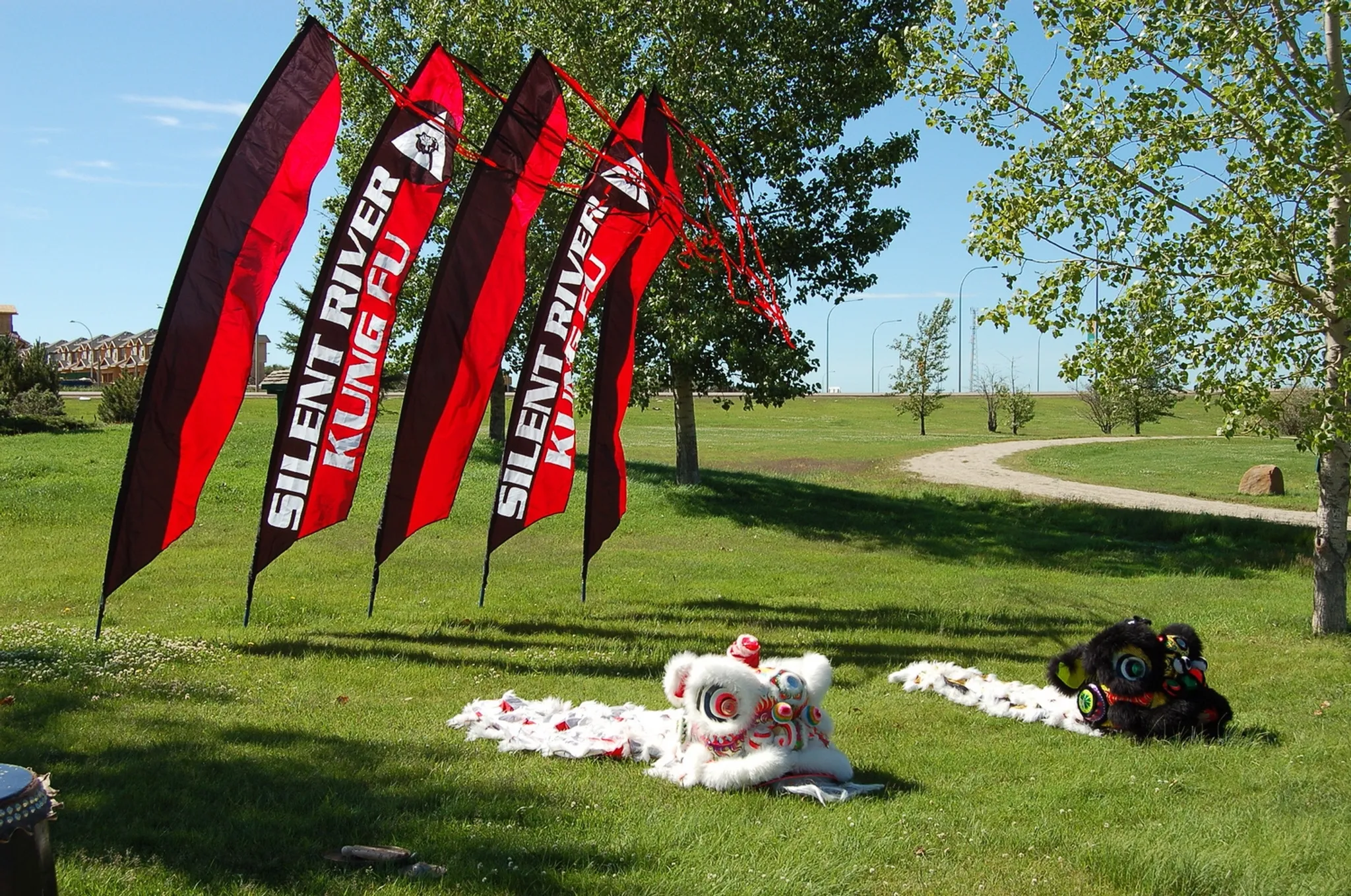 Silent River Kung Fu