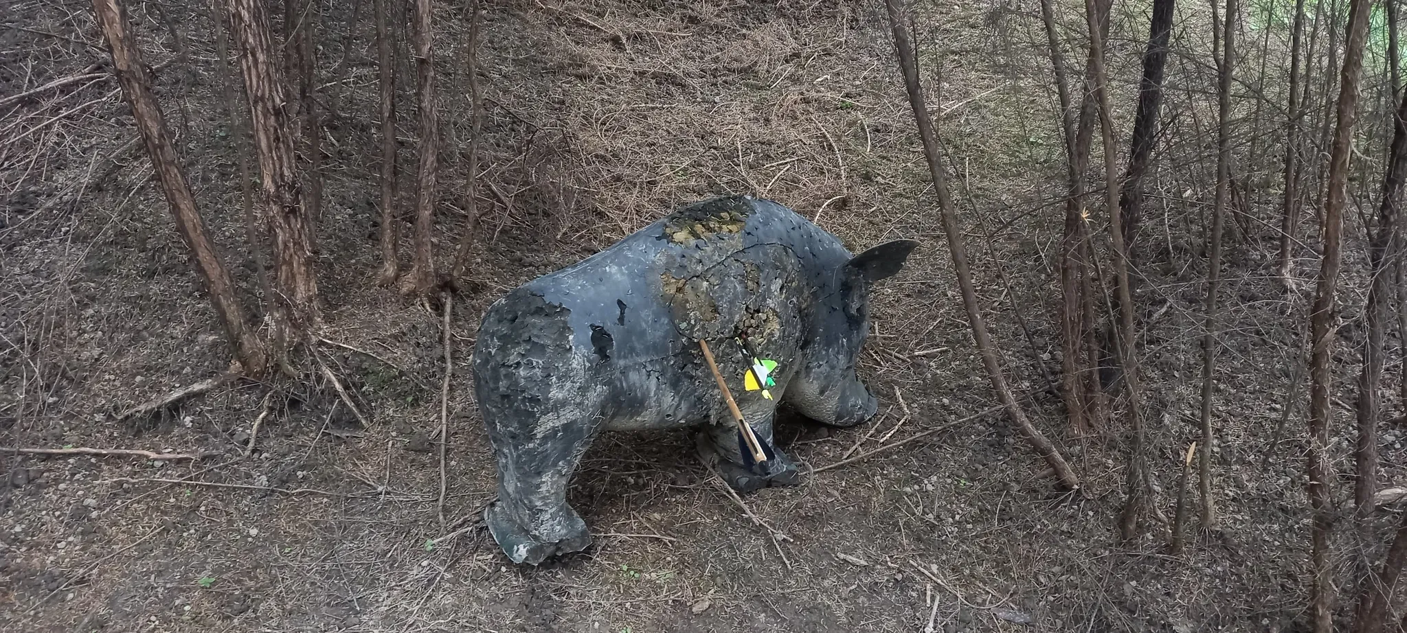 Canterbury Archers' Society Inc