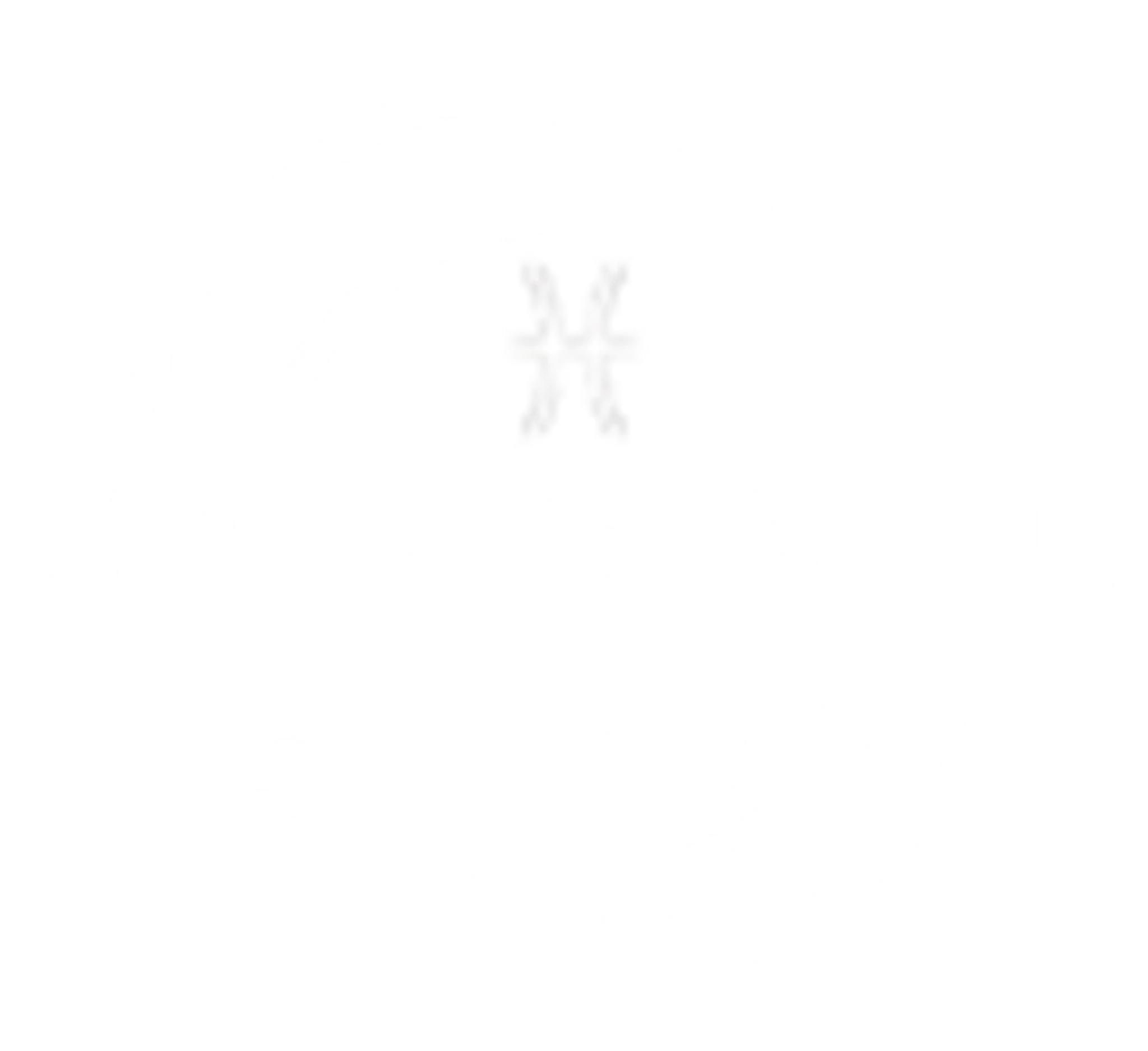 The Battleground Gym & Fitness Studio