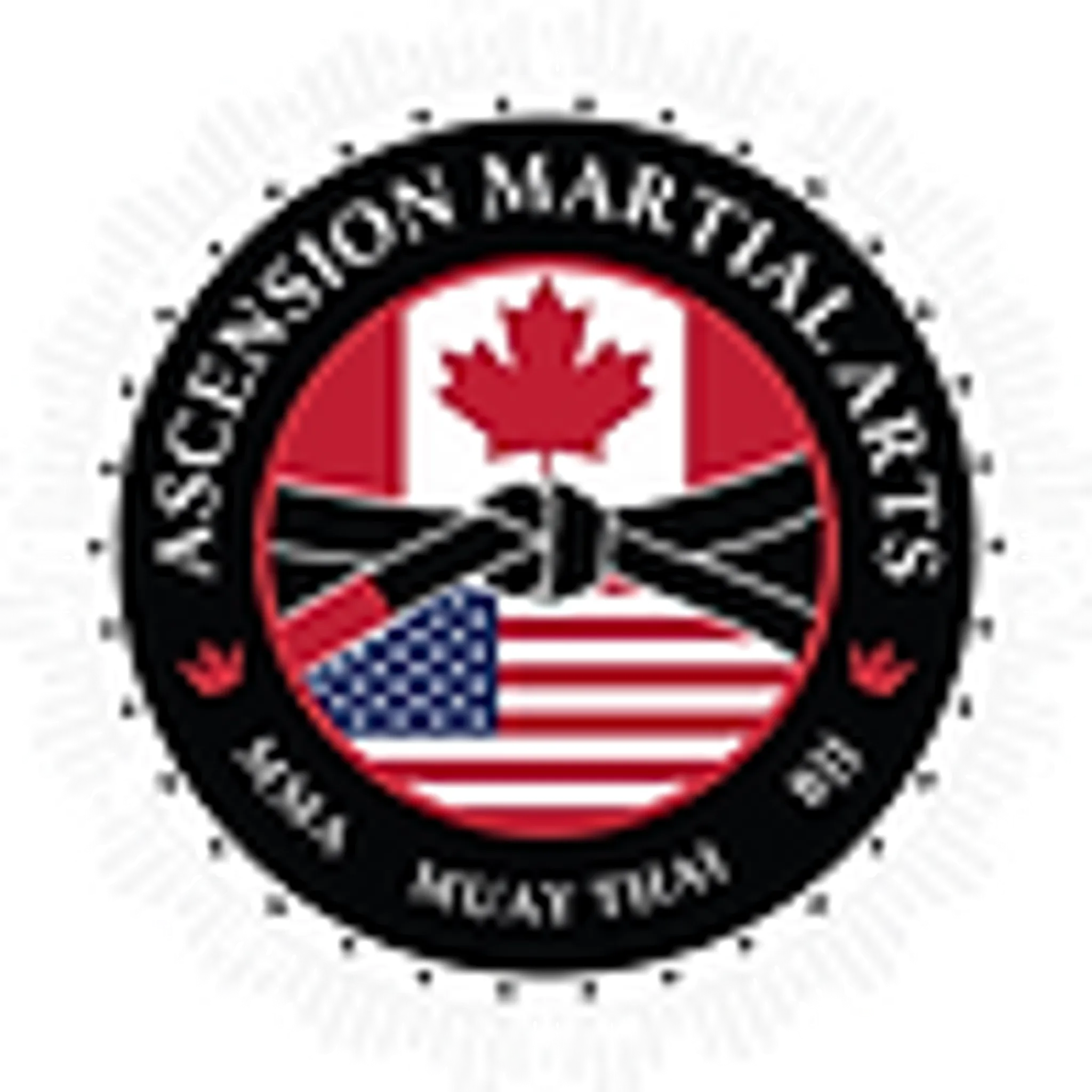 Ascension Martial Arts