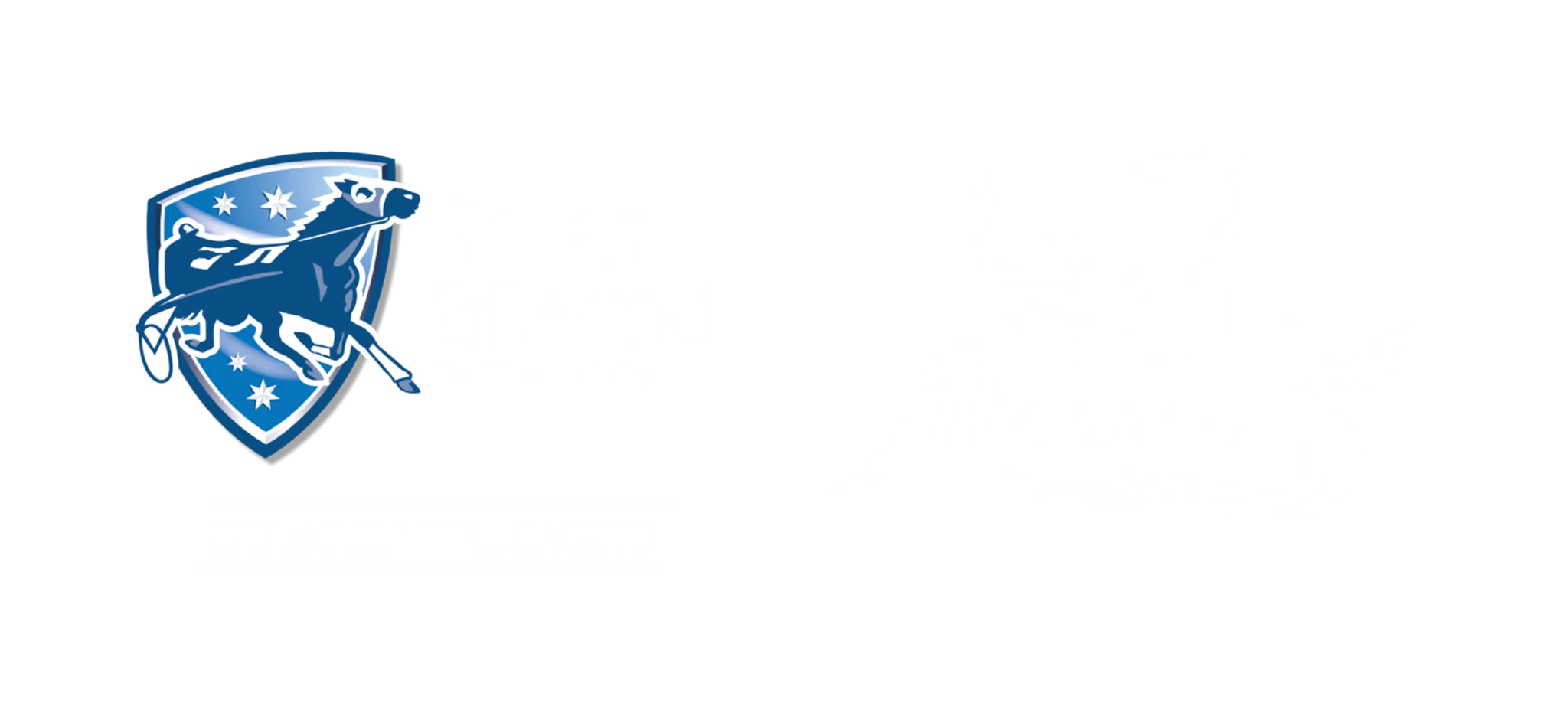 Ballarat & District Trotting Club
