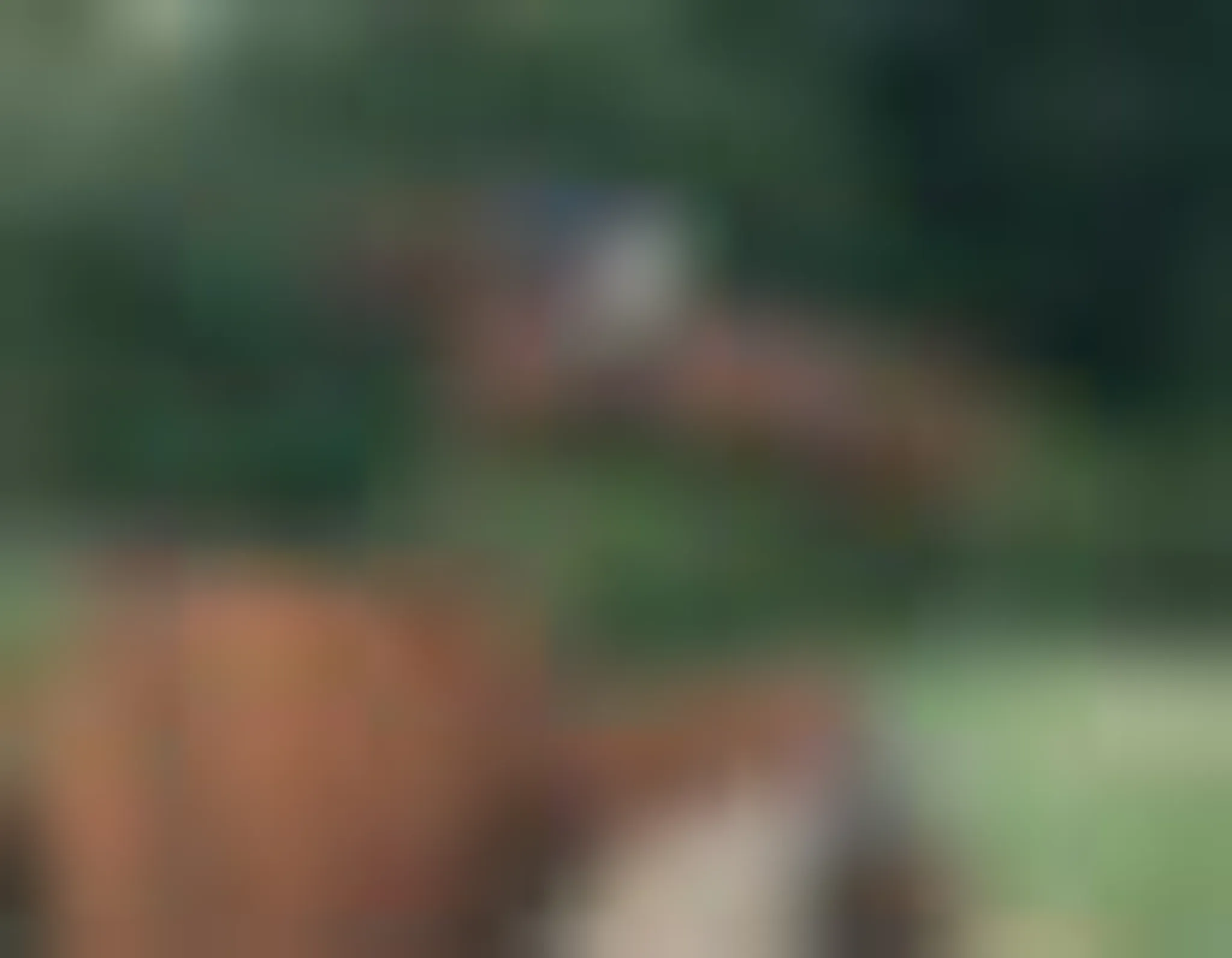 Tracy Brown Equestrian