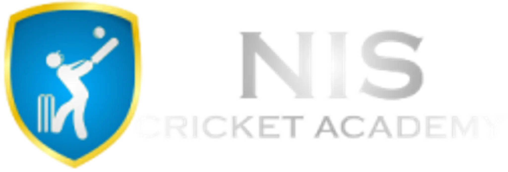 N.I.S Cricket Academy, Sector 33, Noida