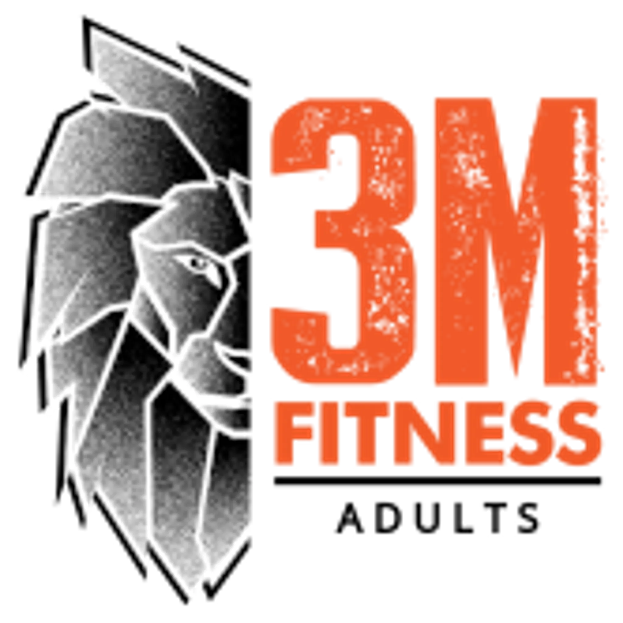 3M Fitness
