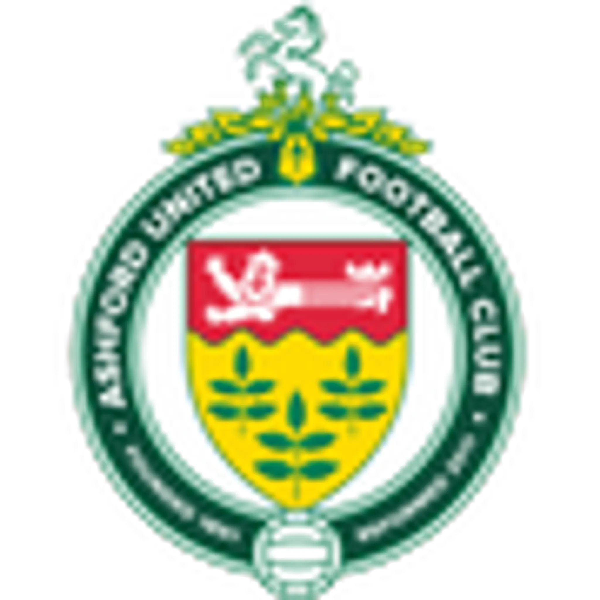 Ashford United FC