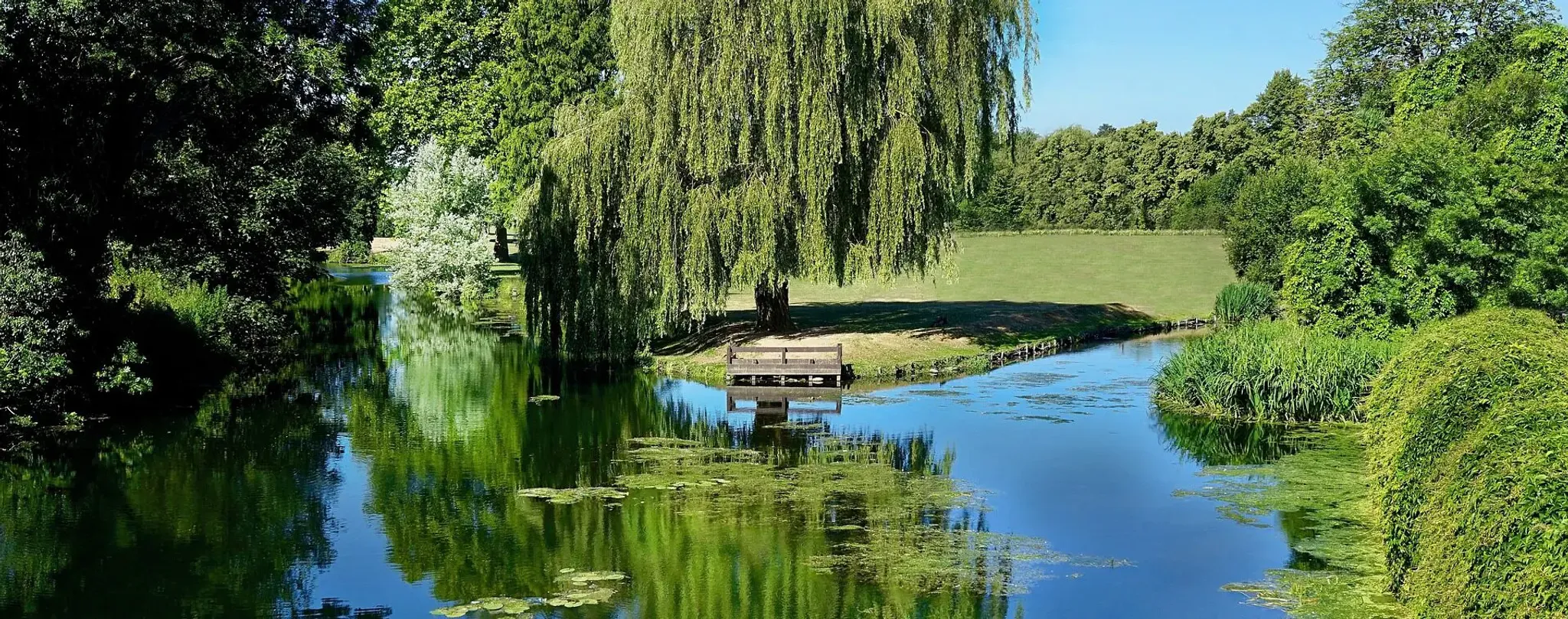 Hamstall Specimen Carp and Pleasure Fishery