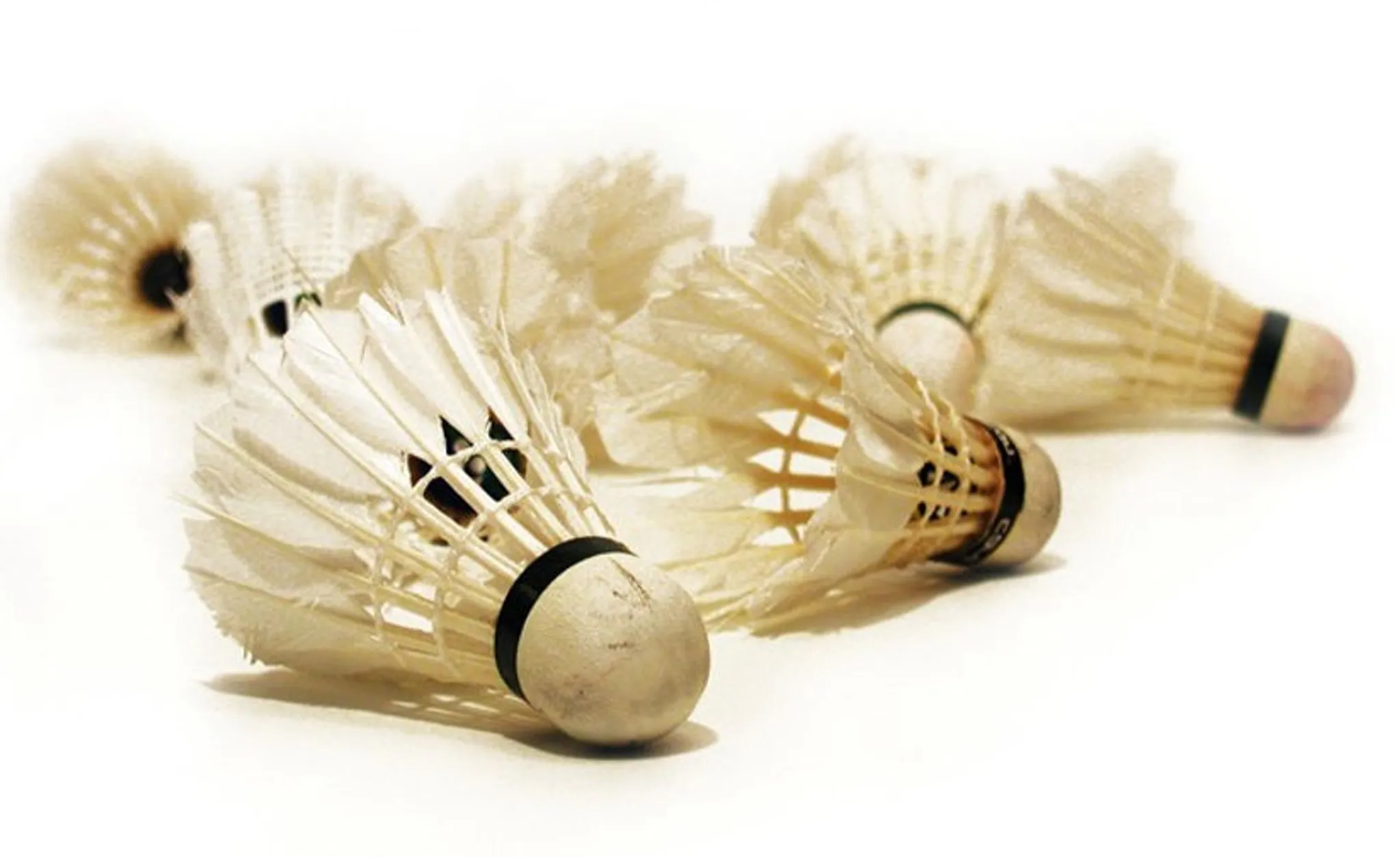 Plaimpied-Givaudins Badminton