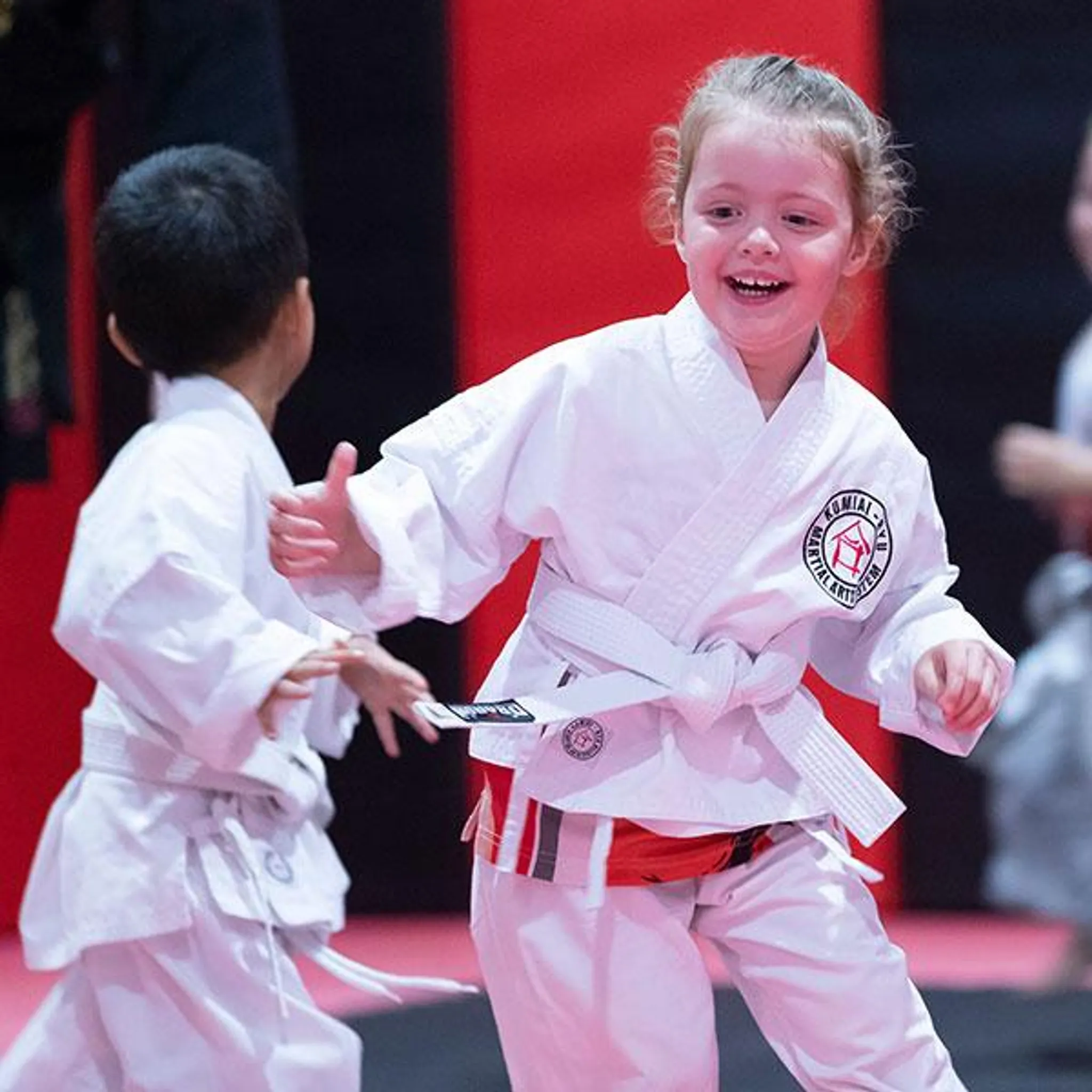 Kumiai-Ryu Shellharbour City