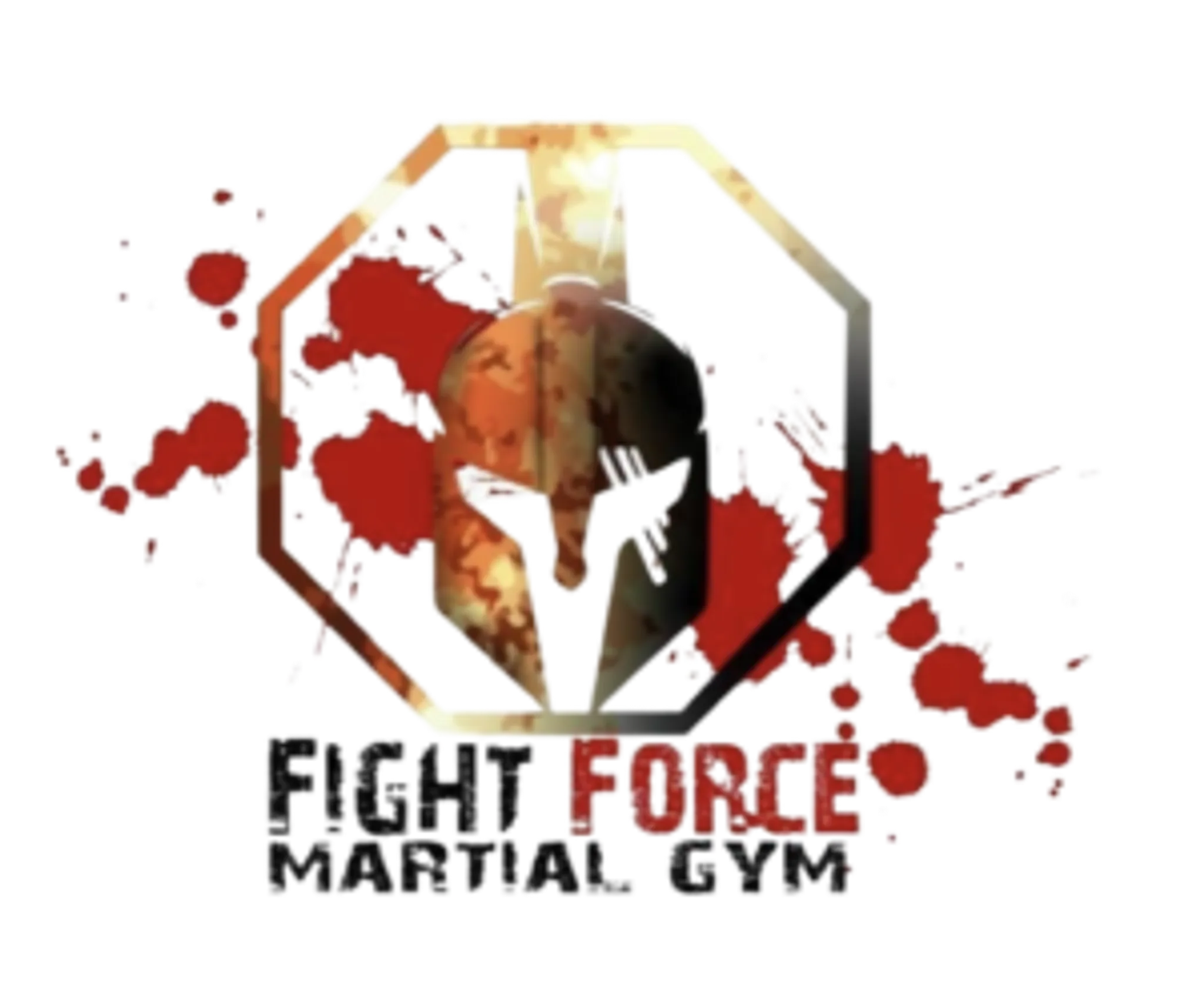 FIGHT FORCE MMA Montpellier