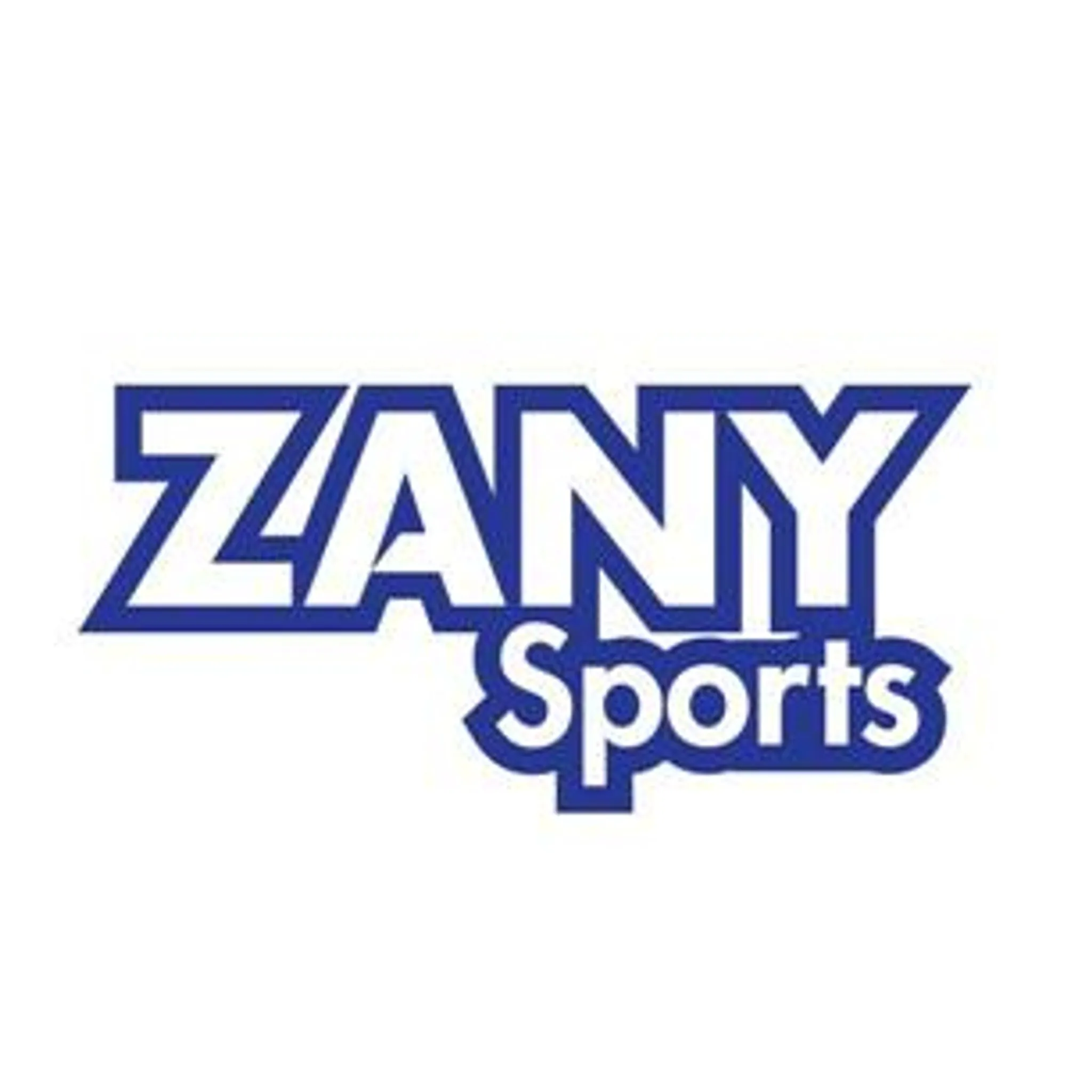 Zany Sports Dodgeball