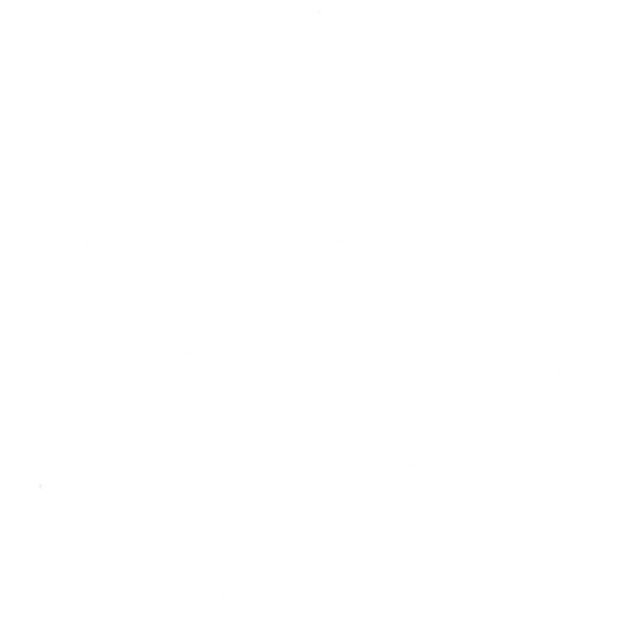Base Jiu-Jitsu