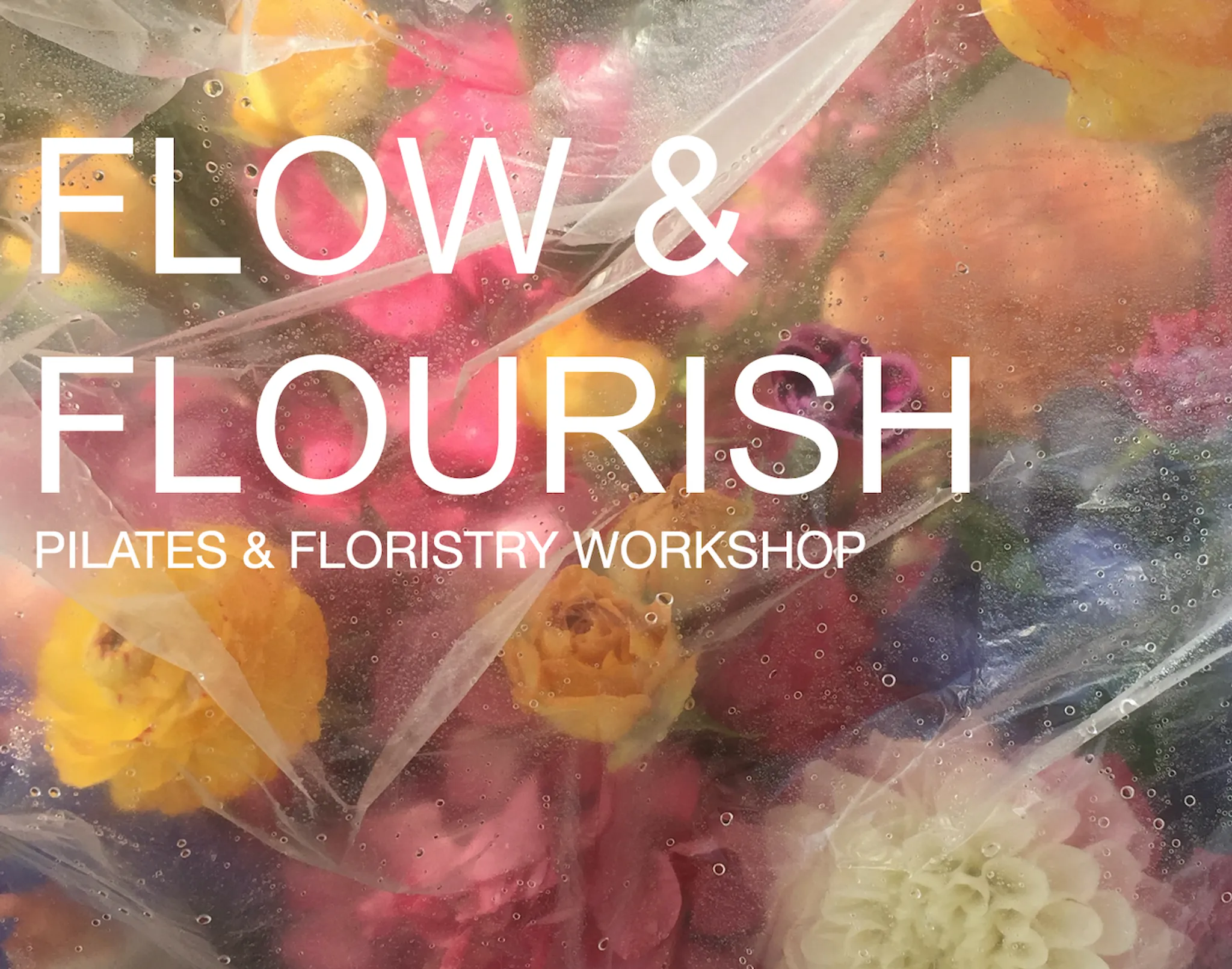 Movement with Lauren