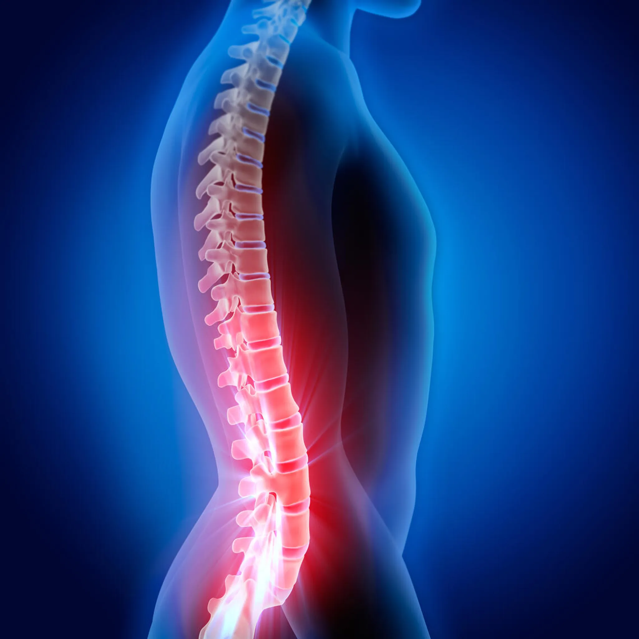 University of Calgary Active Living