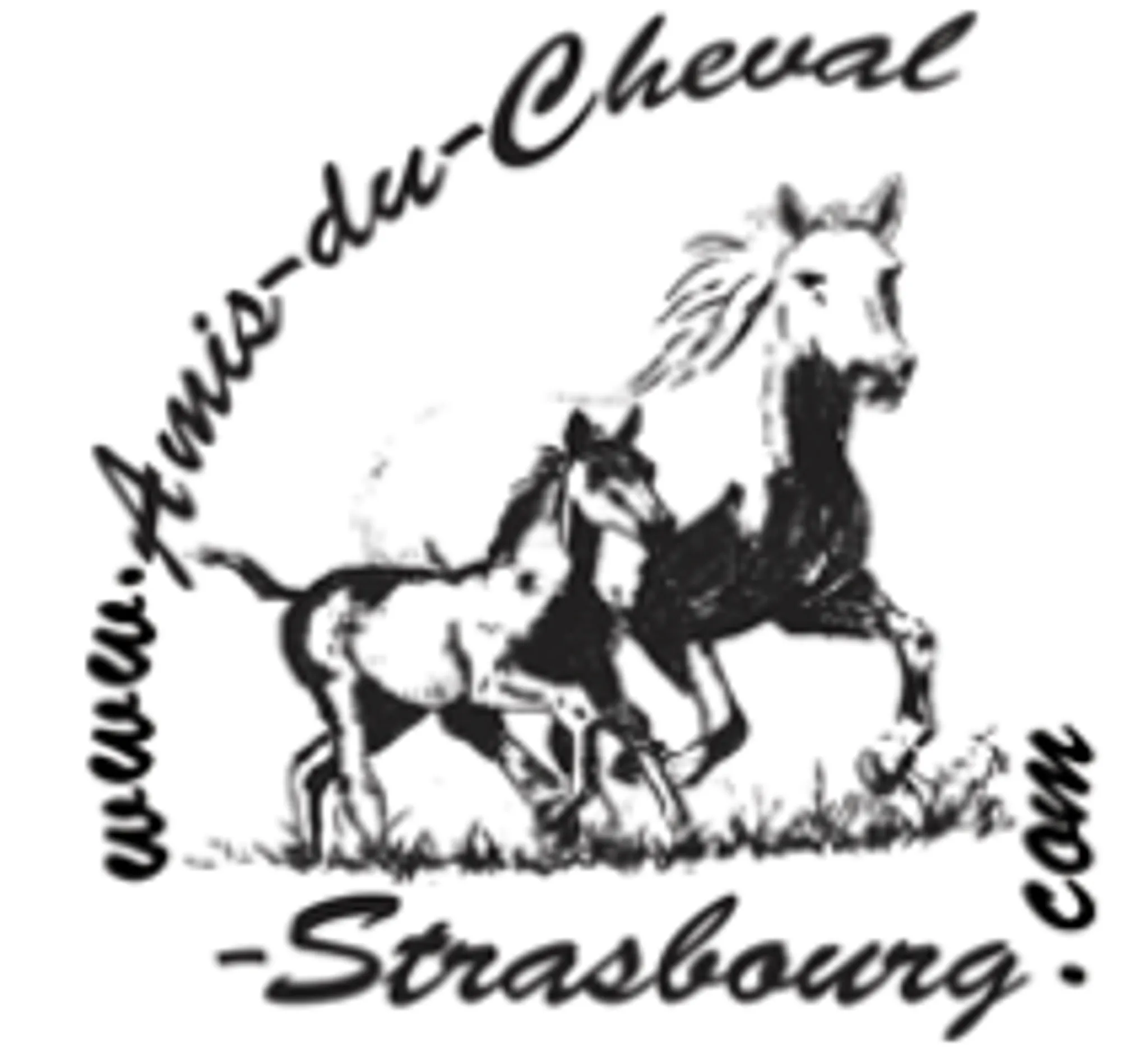 Friends Du Cheval De Strasbourg