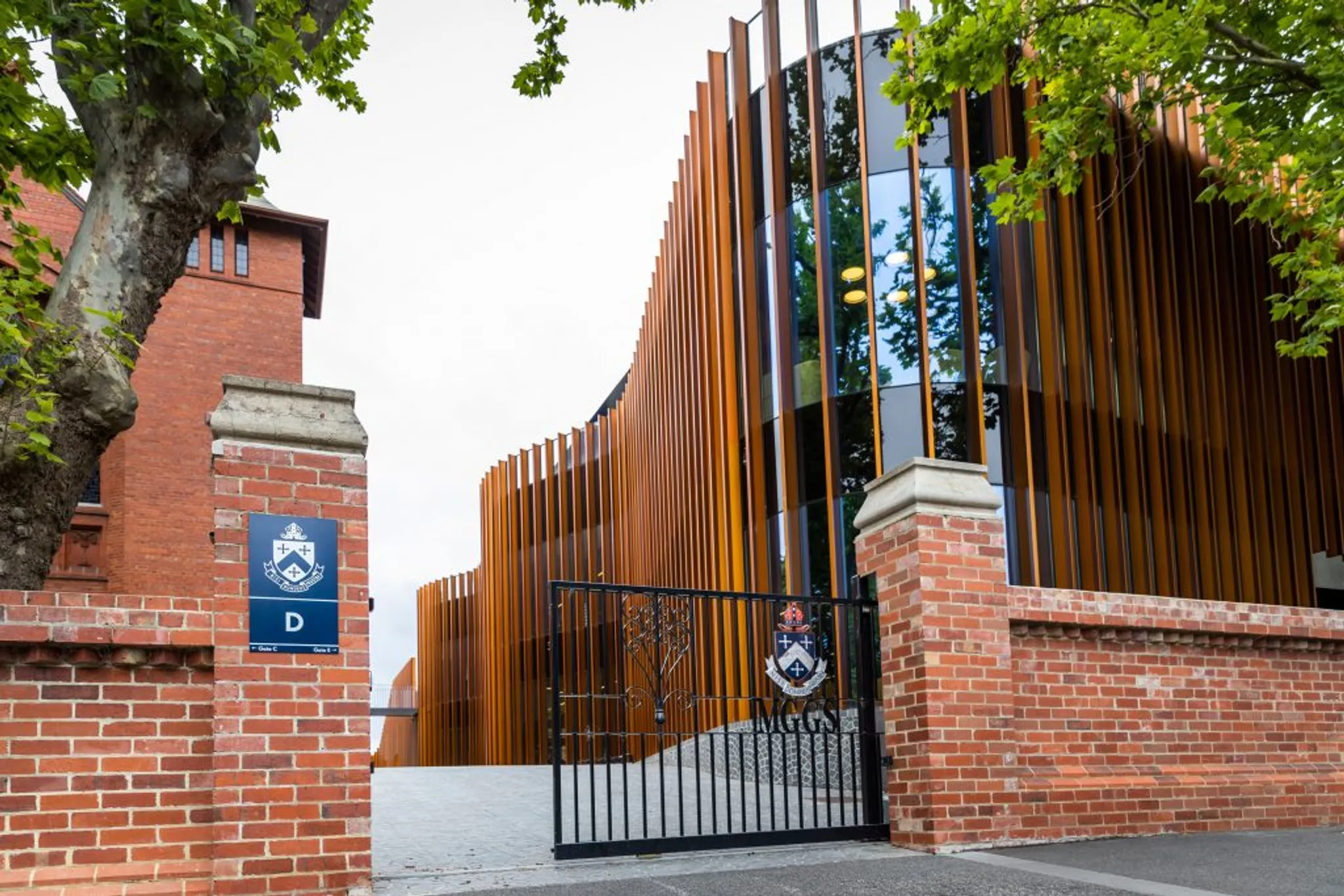 Foundation Gymnastics Saturday Term 4