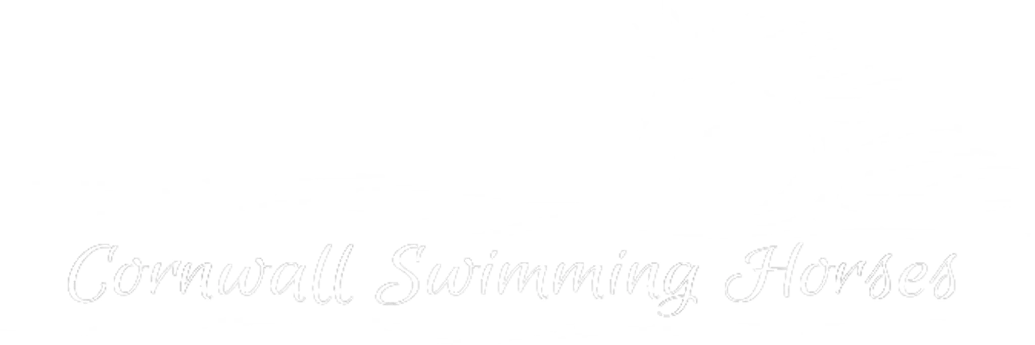 Cornwall Swimming Horses