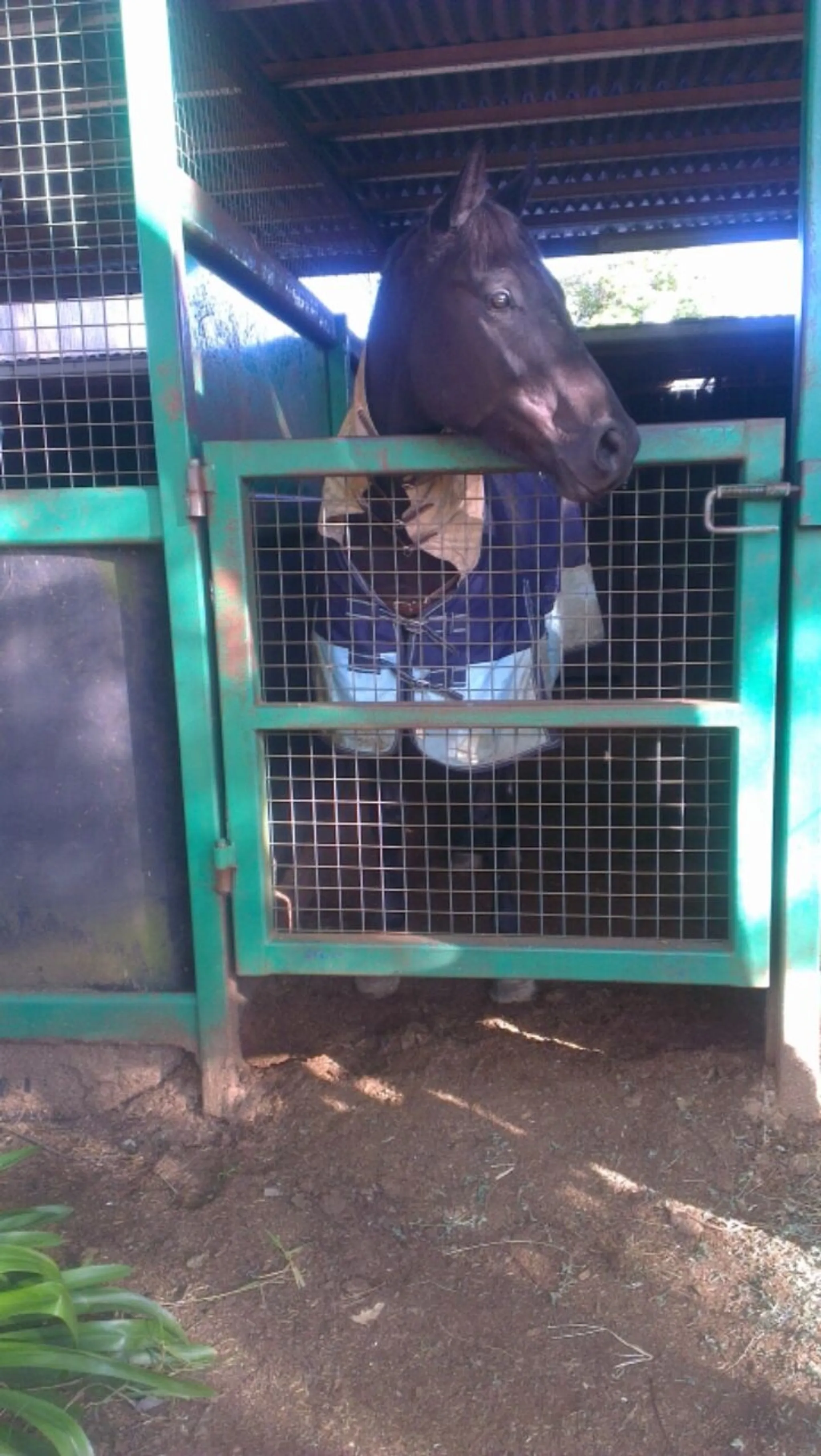 Braeside Racing Stable