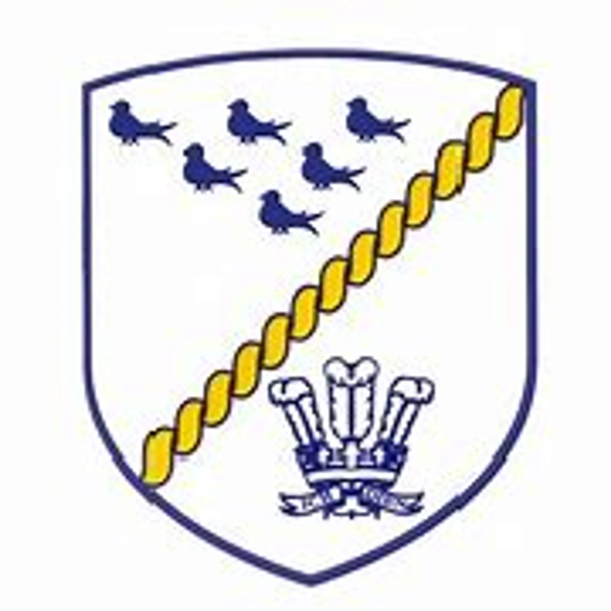 Felbridge & Sunnyside Cricket Club