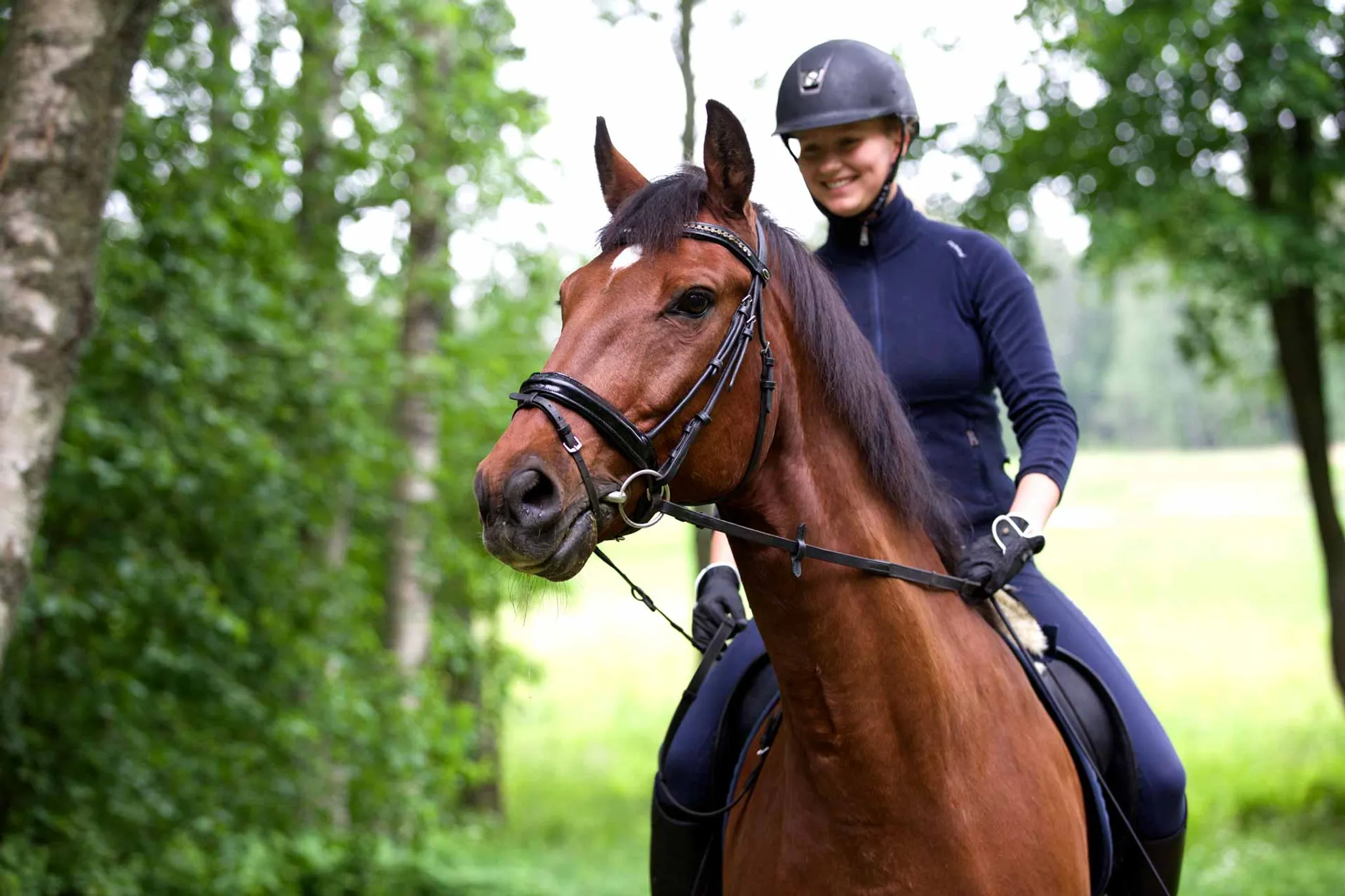 Phoenix Acres Equine Centre