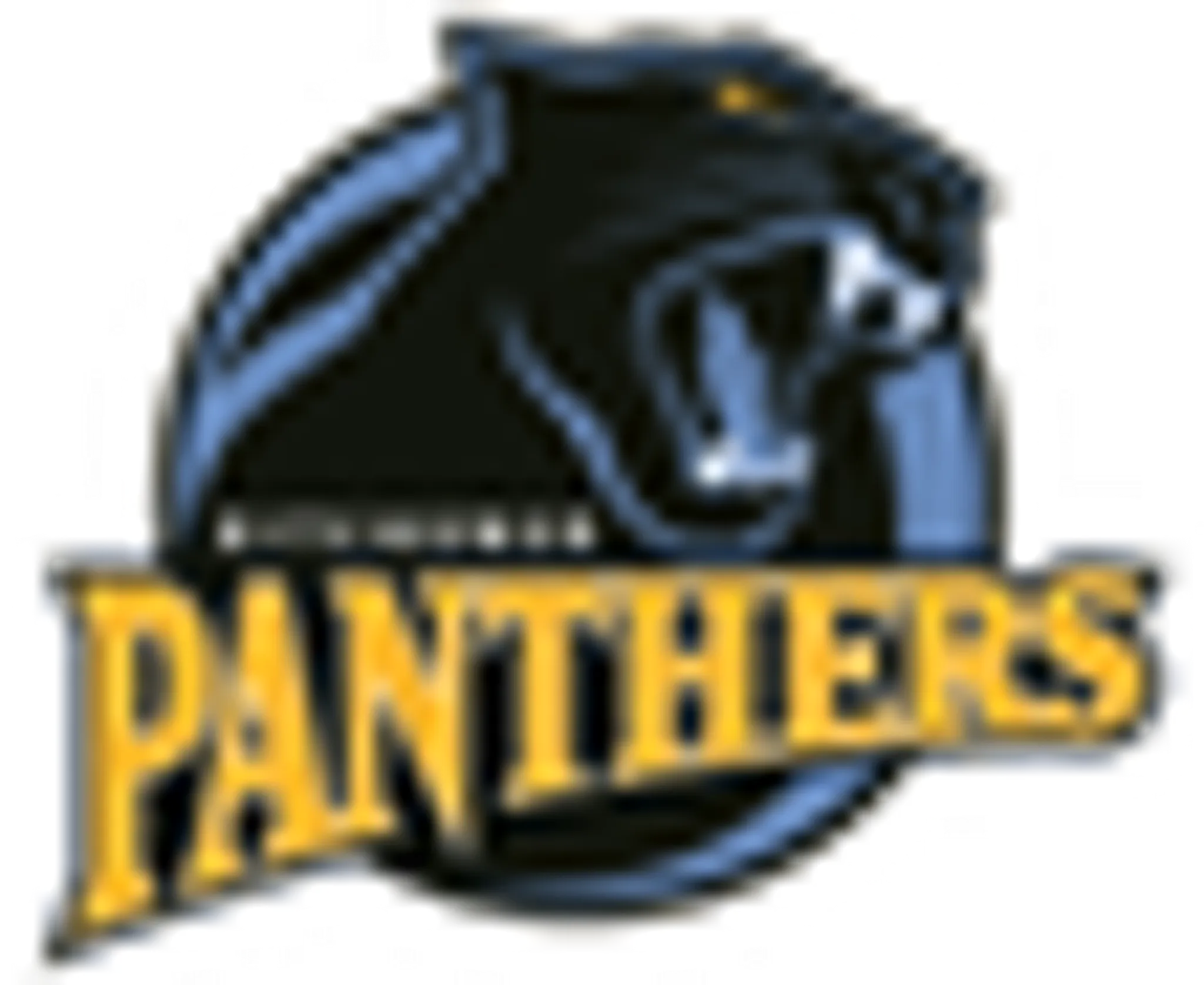 Kitchener Panthers