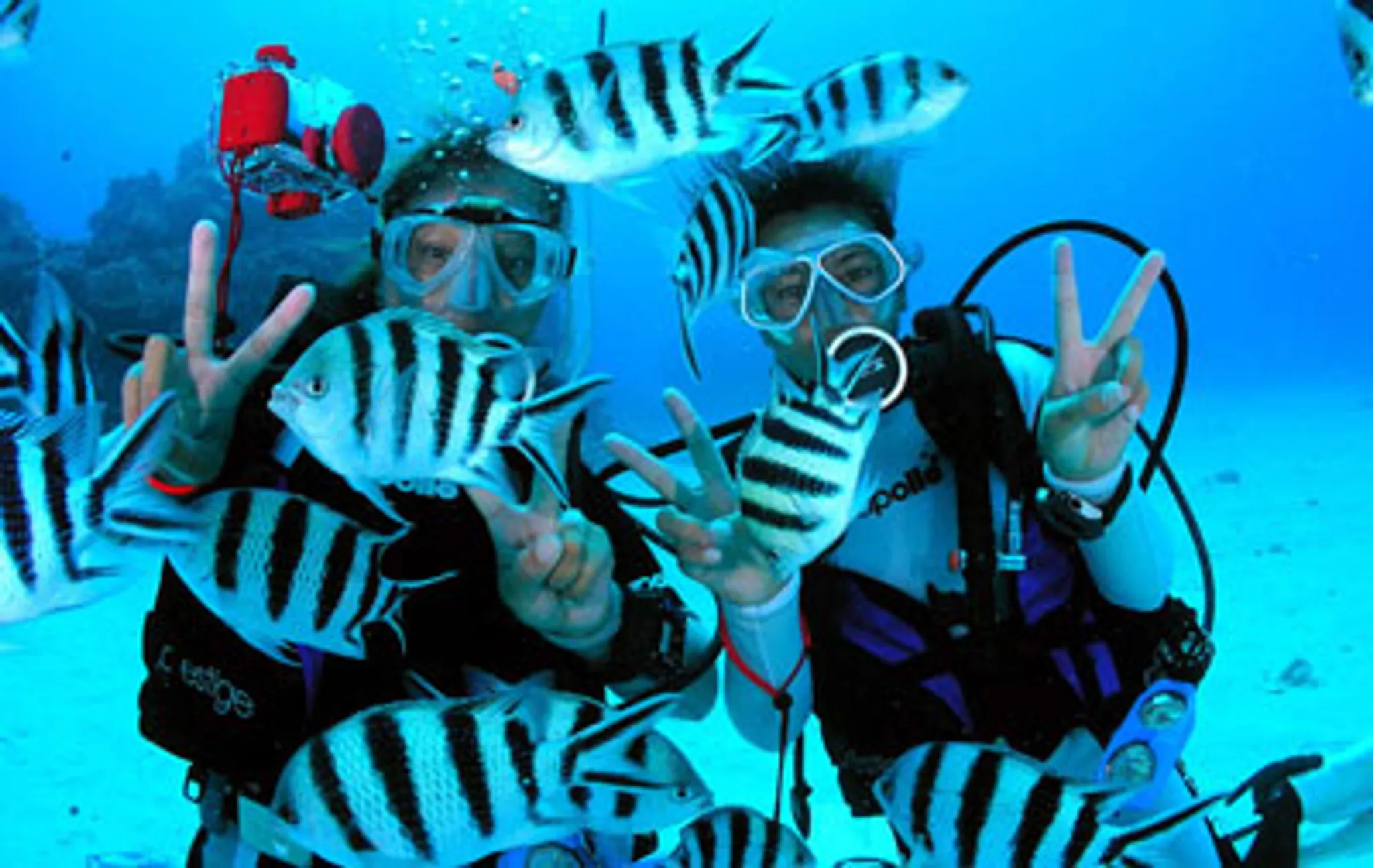 PADI Advanced Open Water Diver Course