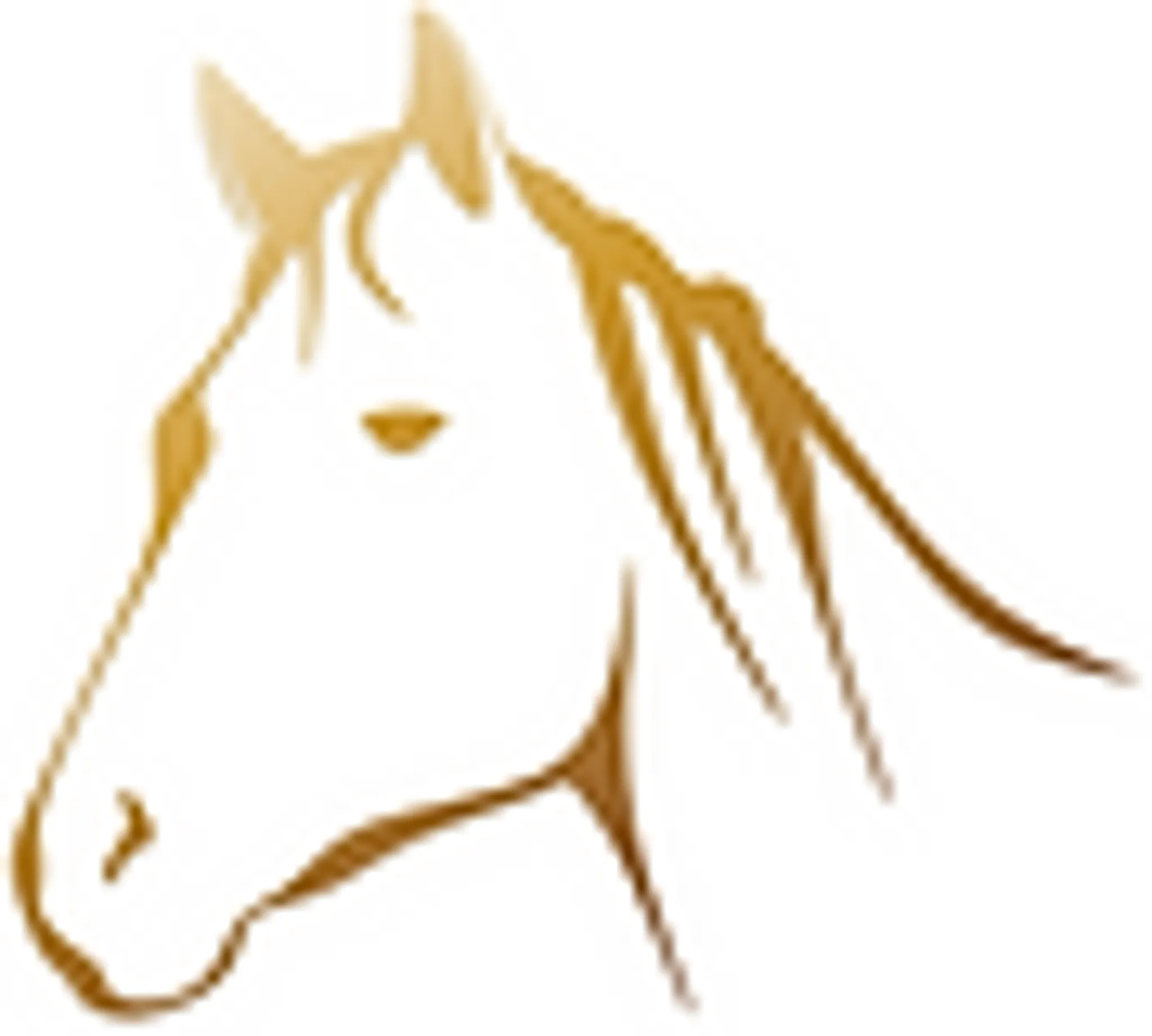 Riverside Equestrian Centre