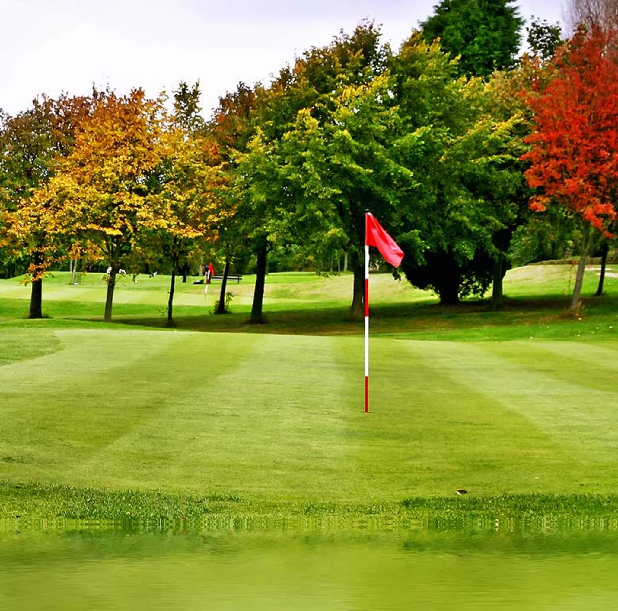 Winter Golf Your Springboard to Success in the 2024 Season