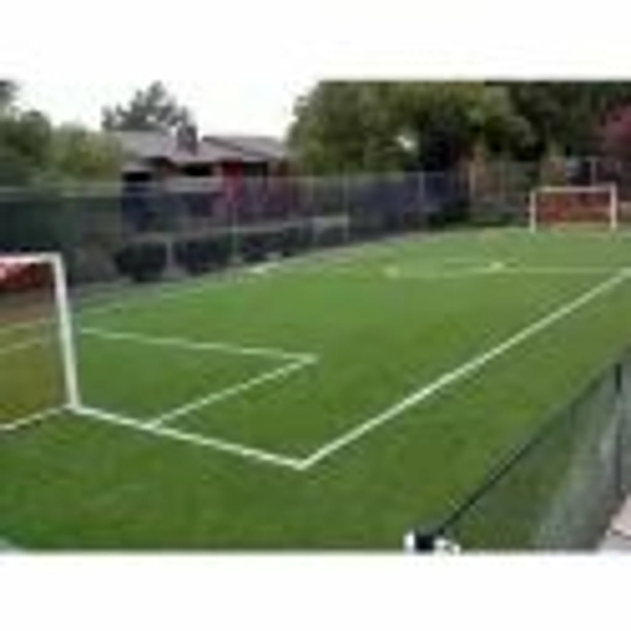 Four Lions Academy and Turf Lohegaon