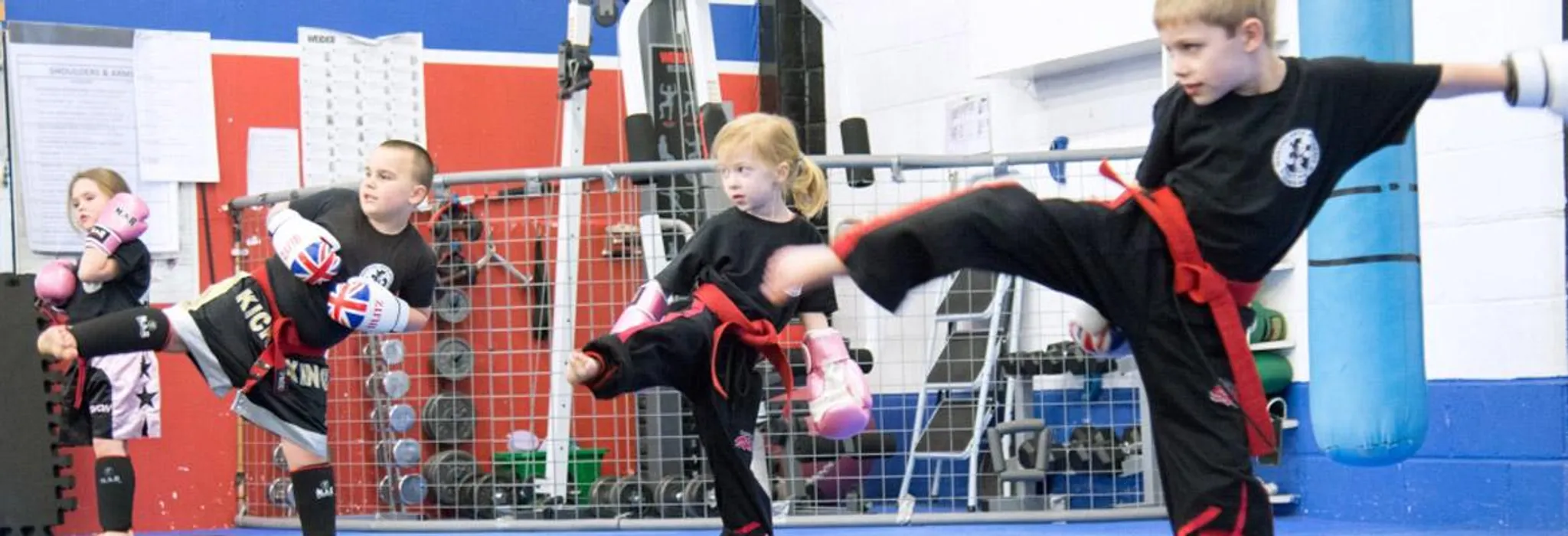 Panthers Martial Arts Academy Classes