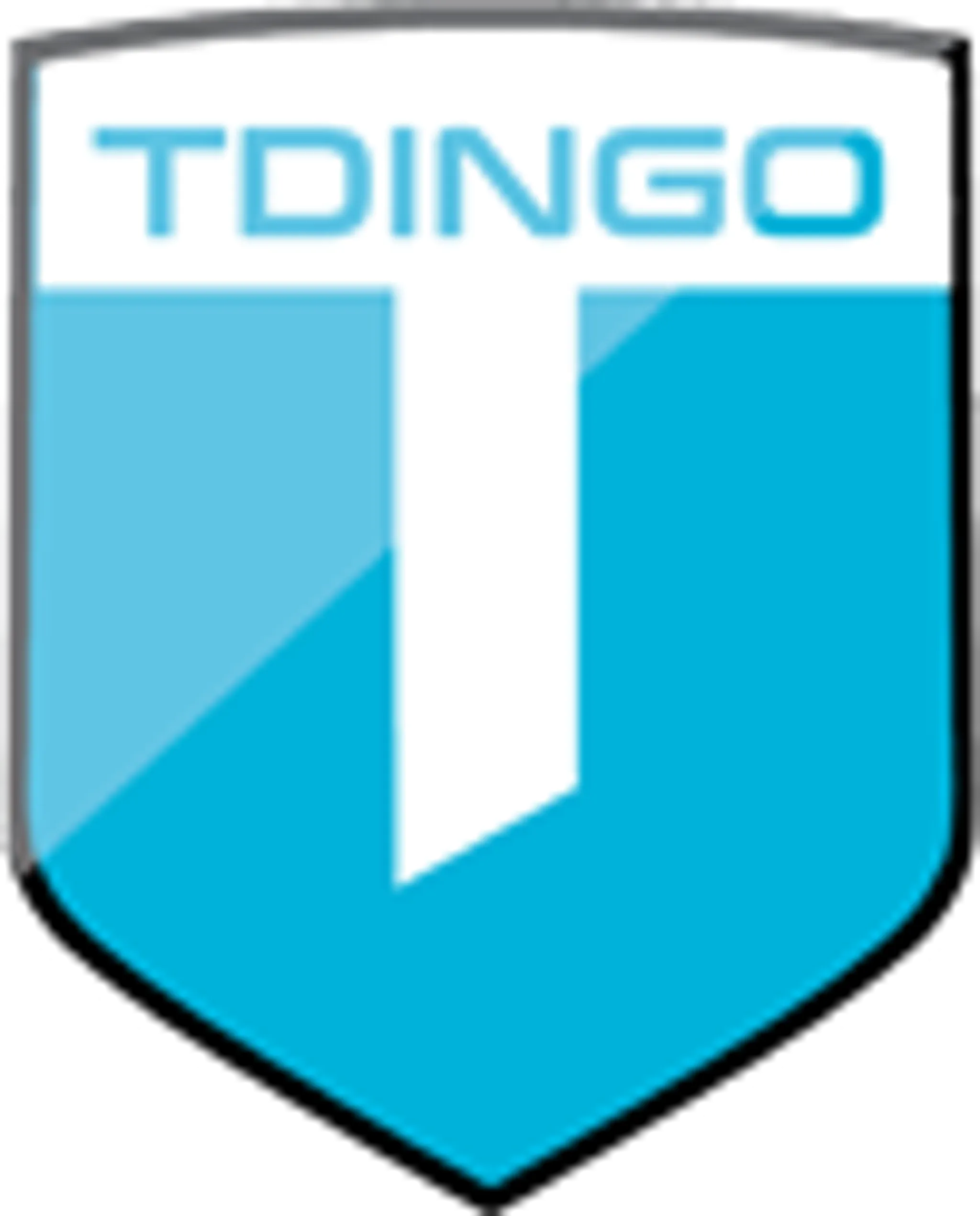 Tdingo