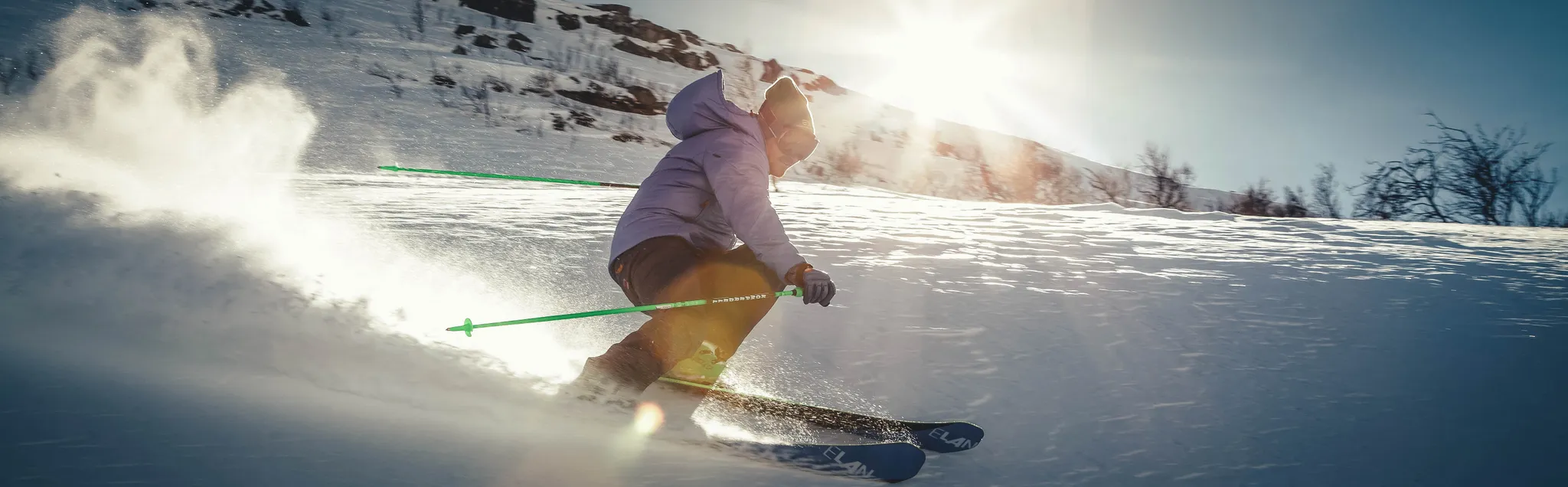 Alpine Skiing banner