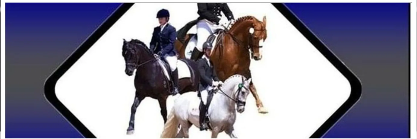 Dressage Competition March Dressage Competition March