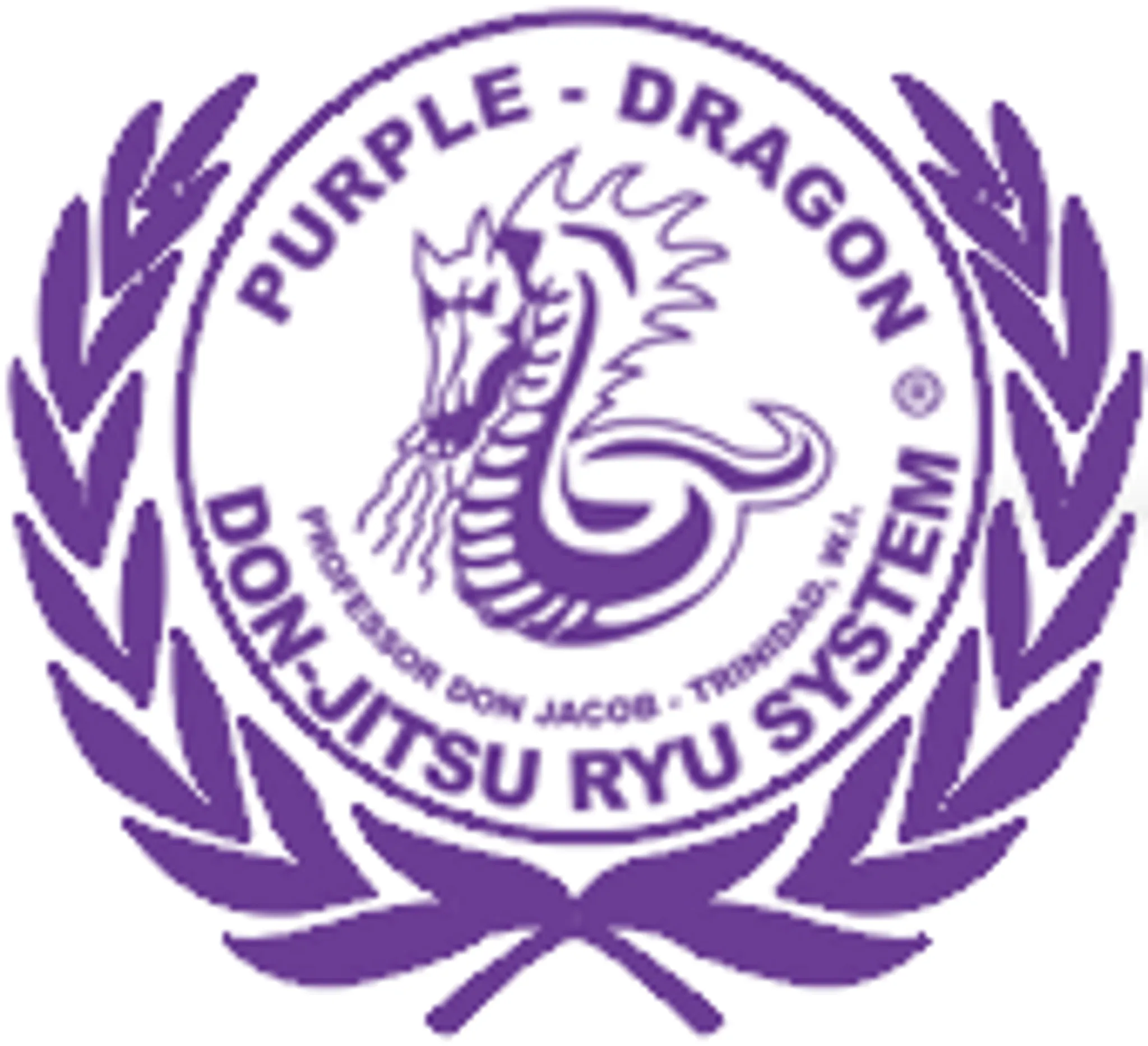 Purple Dragon School of Martial Arts - POINT GREY BRANCH