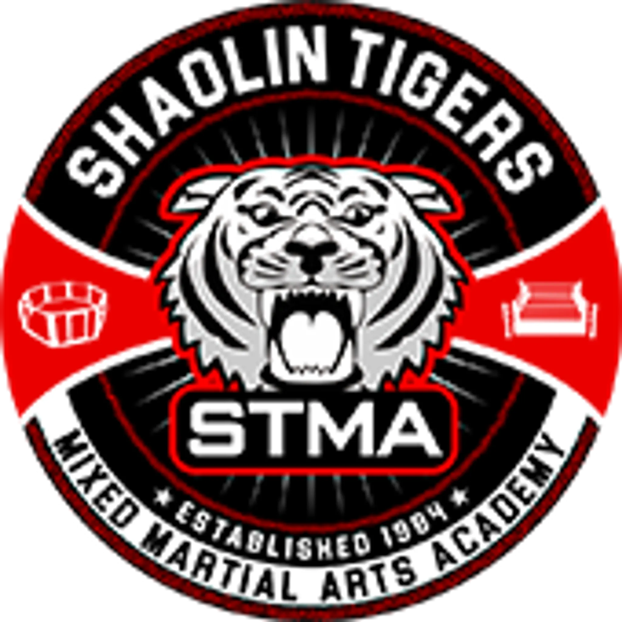 STMA (Shaolin Tigers Martial Arts) Academy Reading