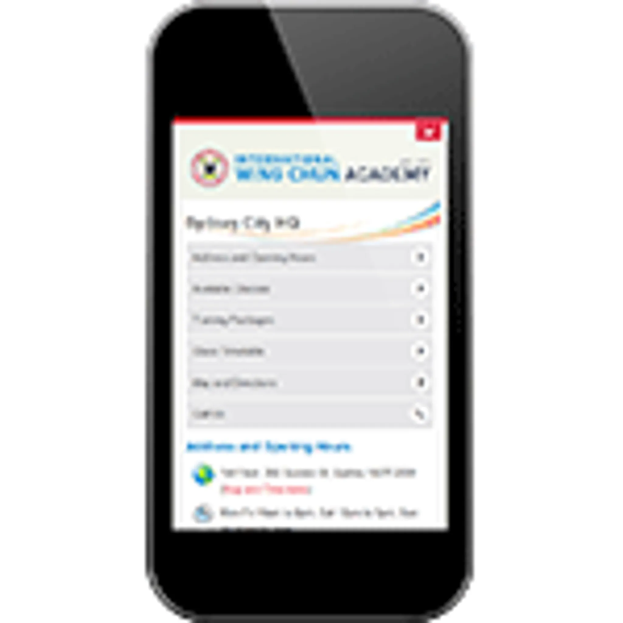 International Wing Chun Academy - Penrith 