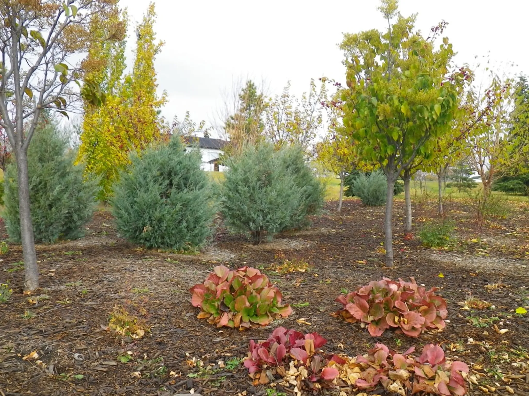 2024 Eastlink Centre Triathlon Volunteers