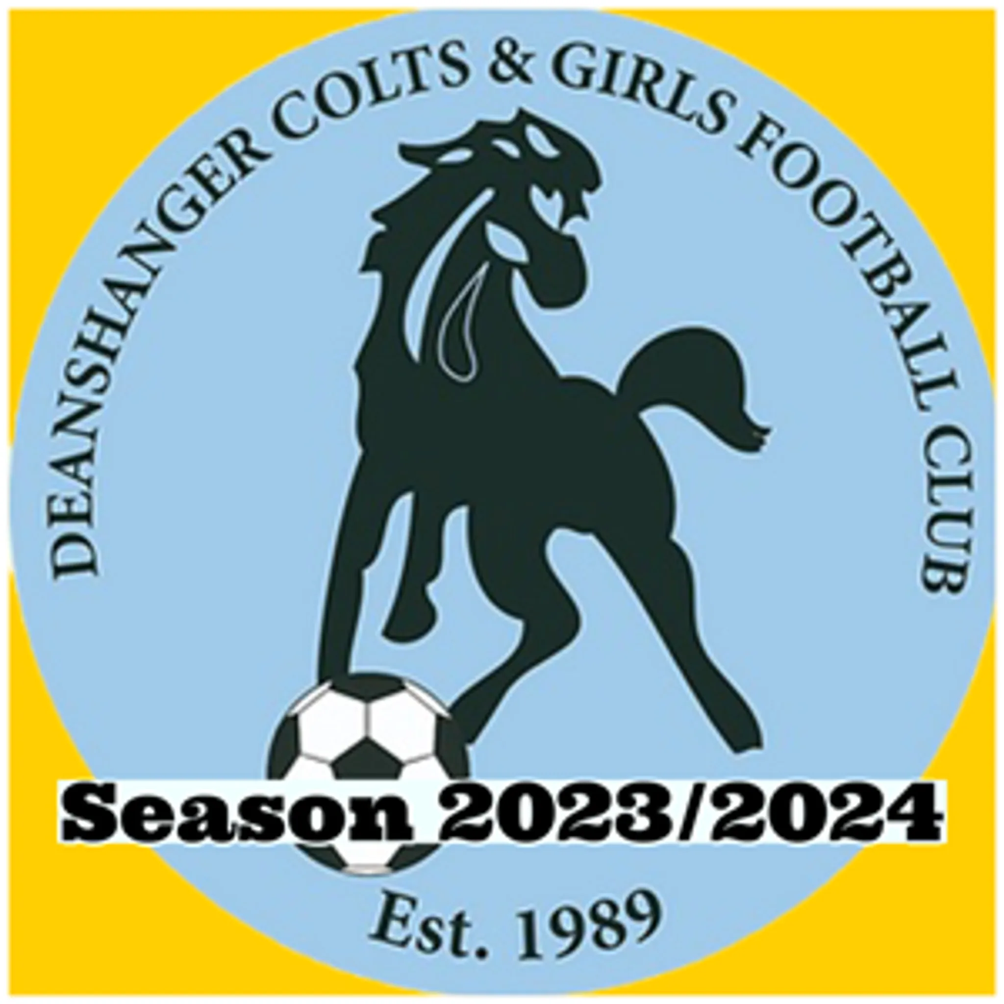 Northamptonshire Football Association