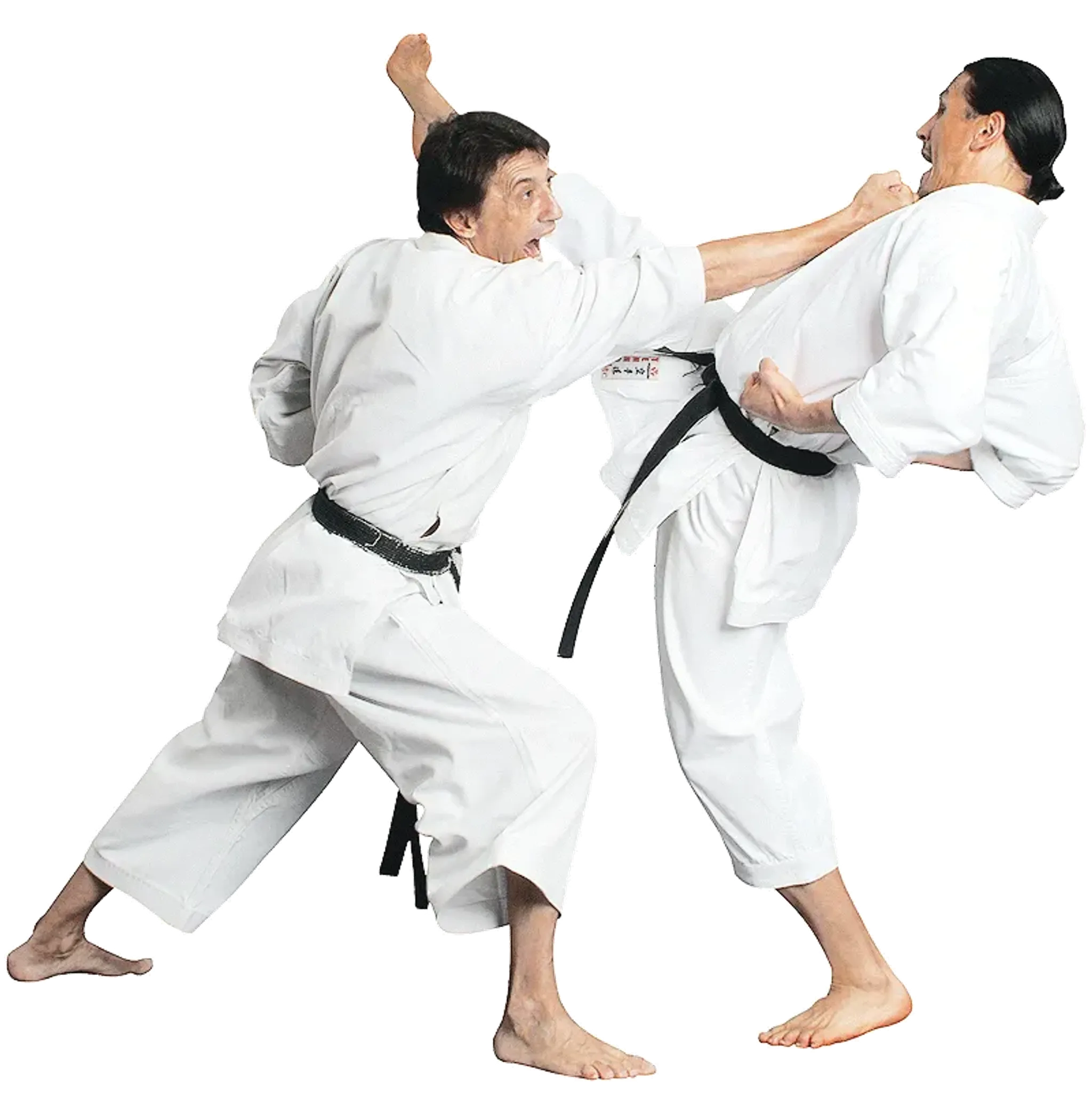 Adult Martial Arts Classes at Newport City Martial Arts