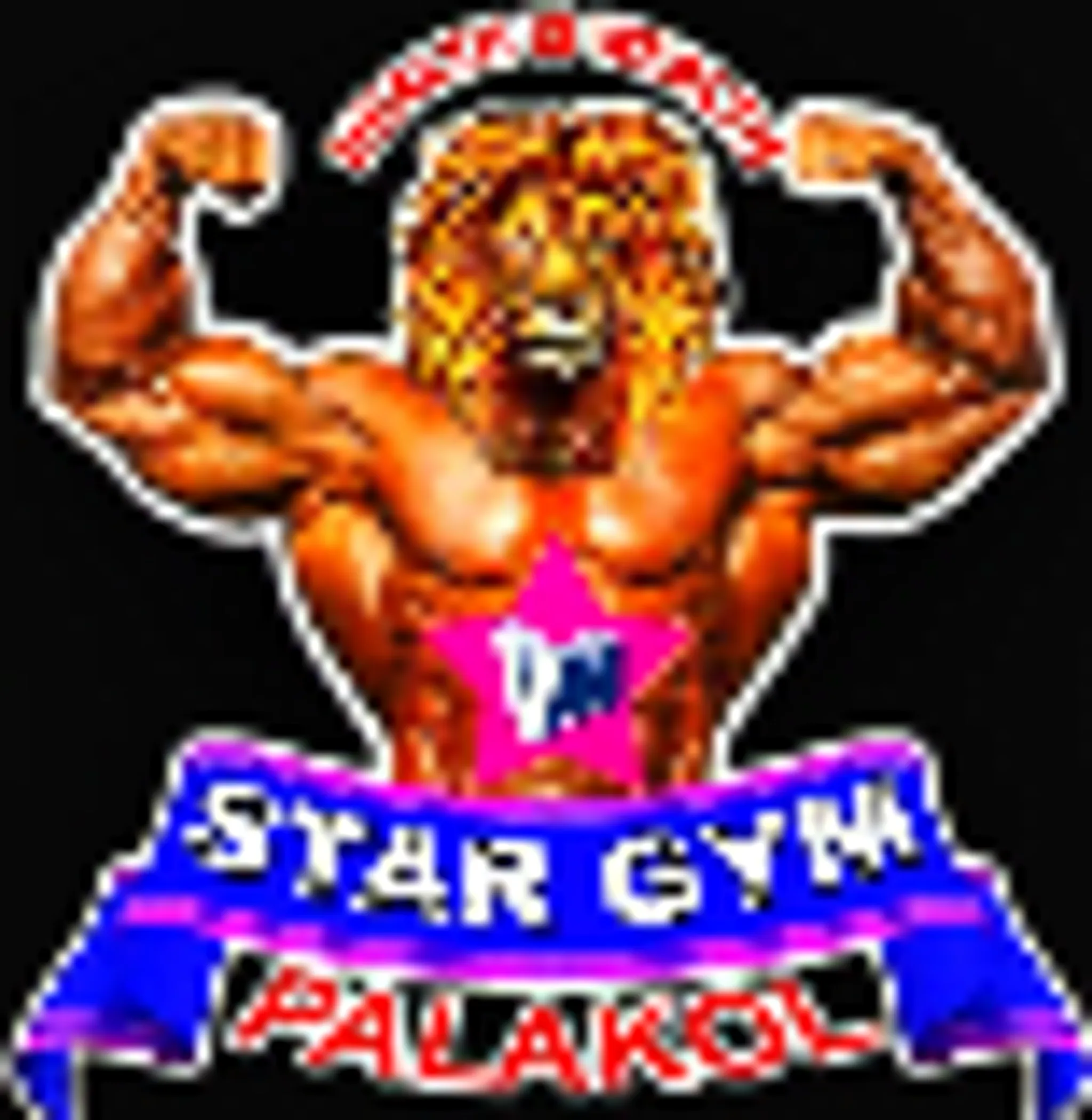 Star gym palakol